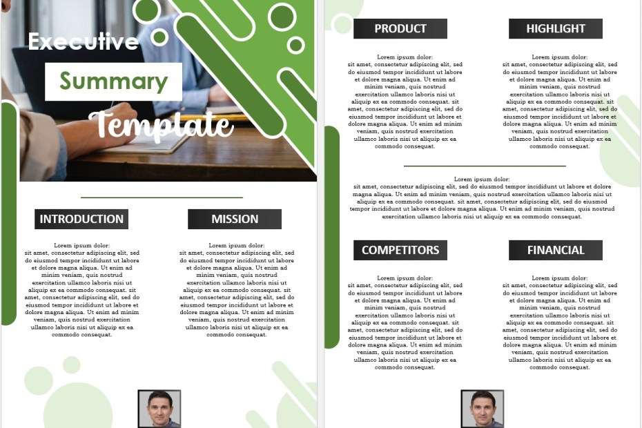 Executive Summary Template 02....,