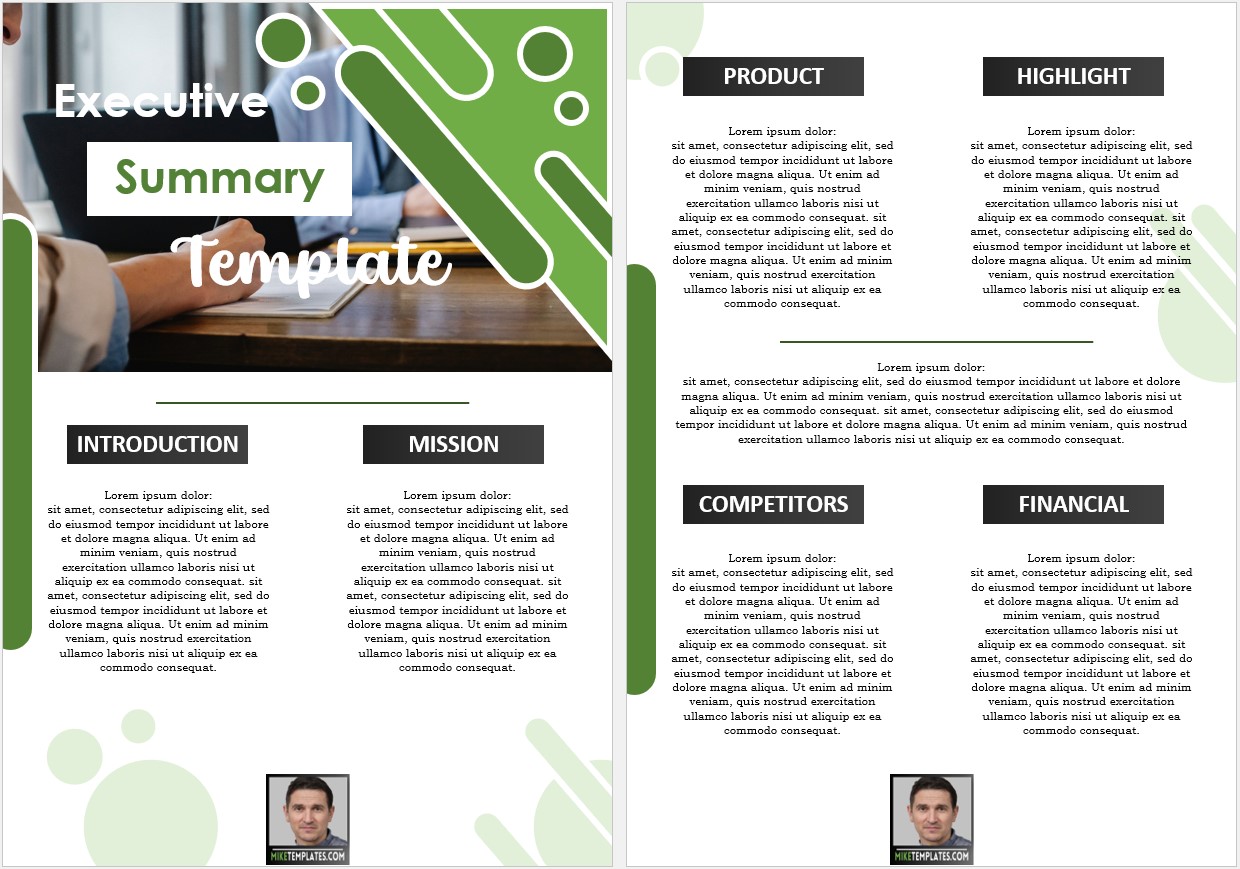 Executive Summary Template 02....,