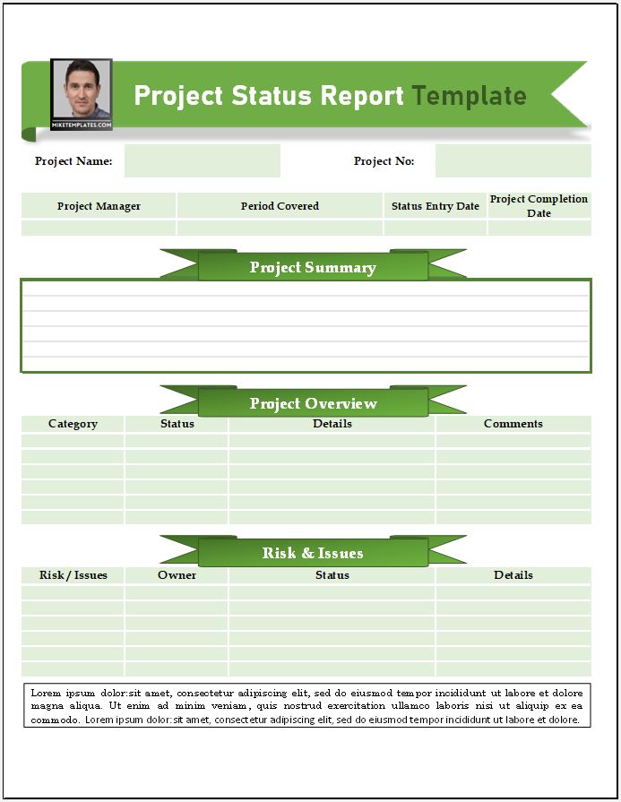 Editable Project Status Report - Sheets & Templates Project Status Report Template 01...,