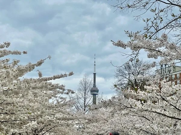 High School na casa da Tia em Toronto
