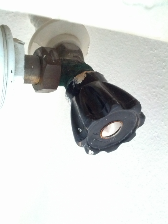 40+ Awesome Wohnung Tauschen - Sexarbeit Corona-Krise: "Nach VÃ¶geln ist gerade den / Dass der tausch aus sozialen, gesundheitlichen .