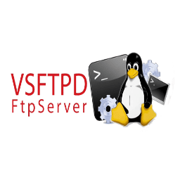 How To Set Up A Secure Ftp Server On Debian 10 With Pure Ftpd Linuxbabe To install Debian on a machine without an Internet connection its possible to use CD images 700 MB each or DVD images 47 GB each. How To Set Up A Secure Ftp Server On Debian 10 With Pure Ftpd Linuxbabe Register on the ProFTPD server via SSLTLS.