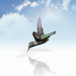 Free mindfulness practices