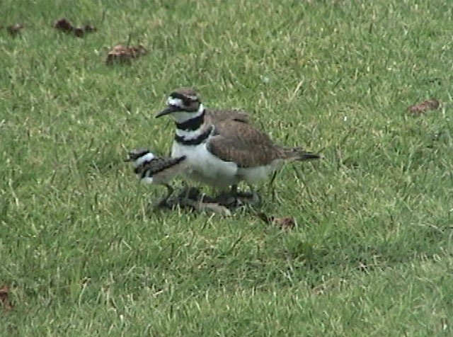 001 Mindjava - Best Geometric Wallpapers in 4K