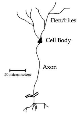 Pyramidalcell Mindjava - Premium Sunset Art Gallery - 8K