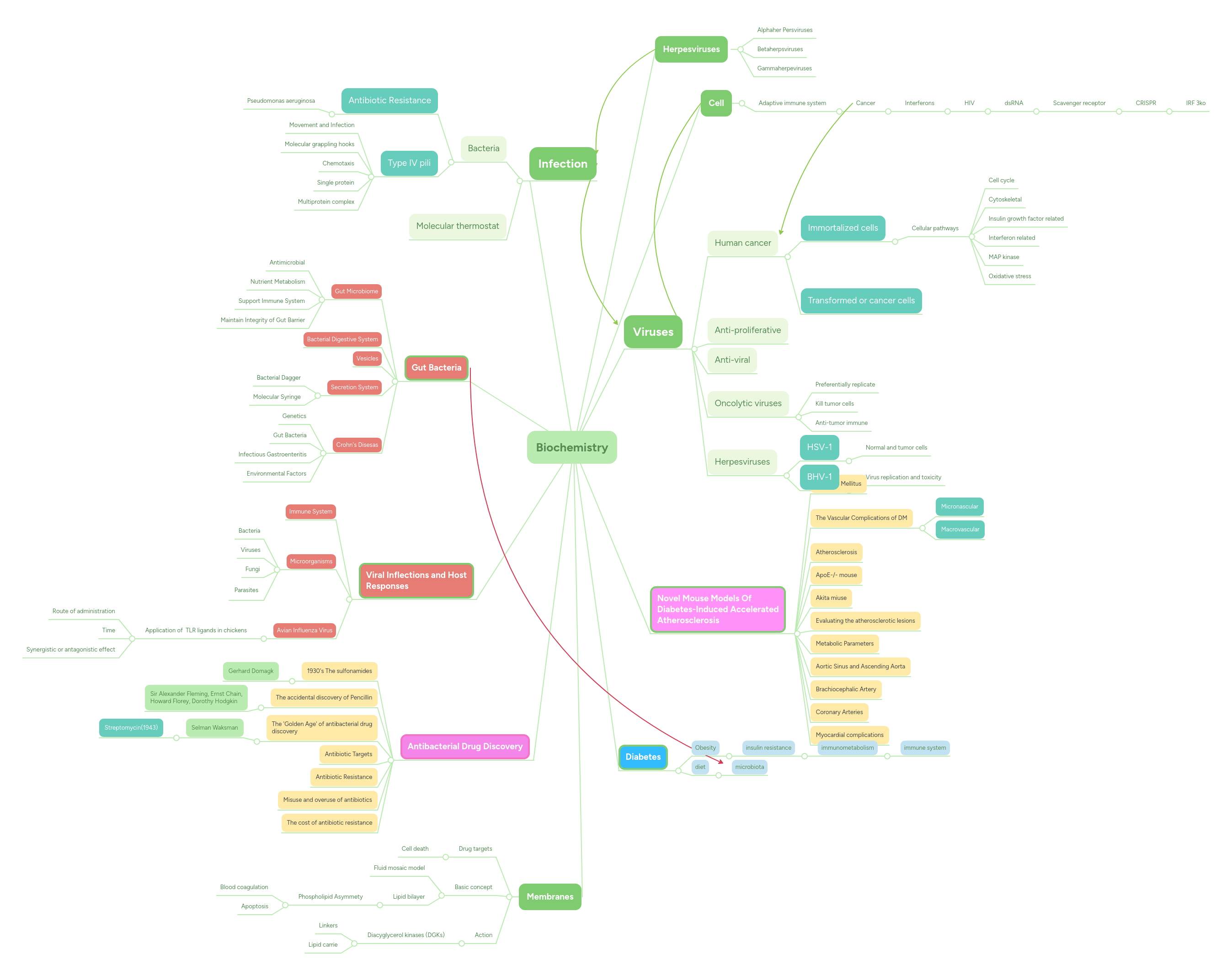 Biochemistry Mind Map - Landscape Designs - Gorgeous Retina Collection