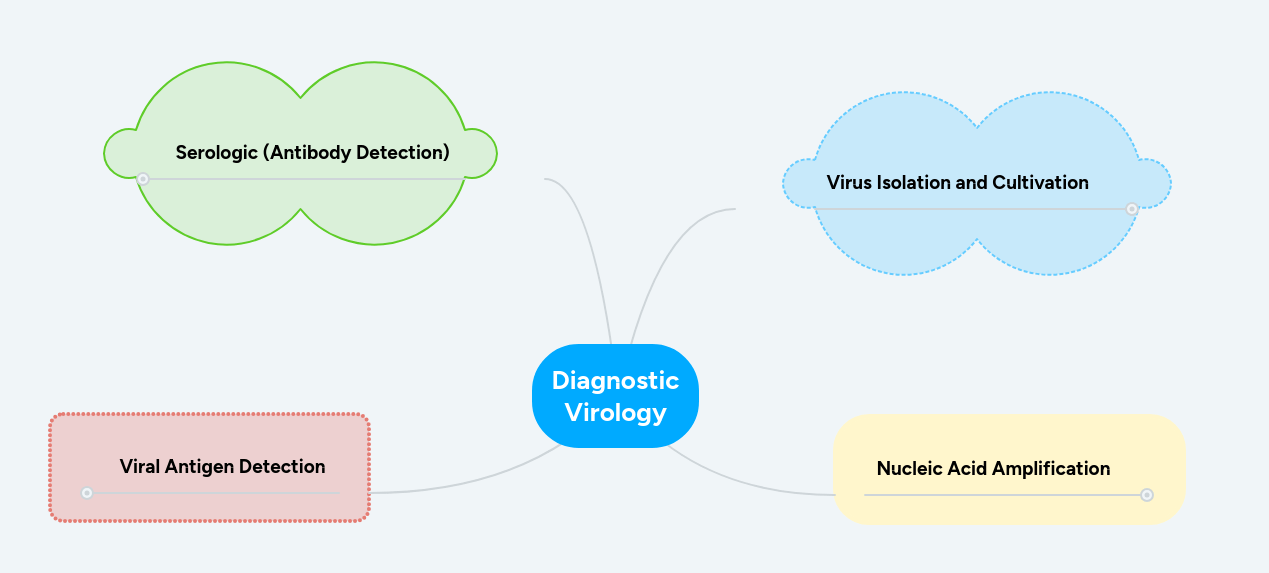 Virology Mindmeister Mind Map - Perfect Colorful Texture - 8K
