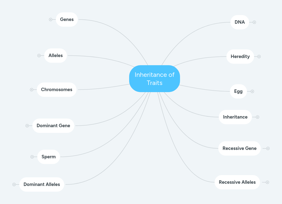 Classifying Traits Mindmeister Mind Map - Best Minimal Patterns in 4K