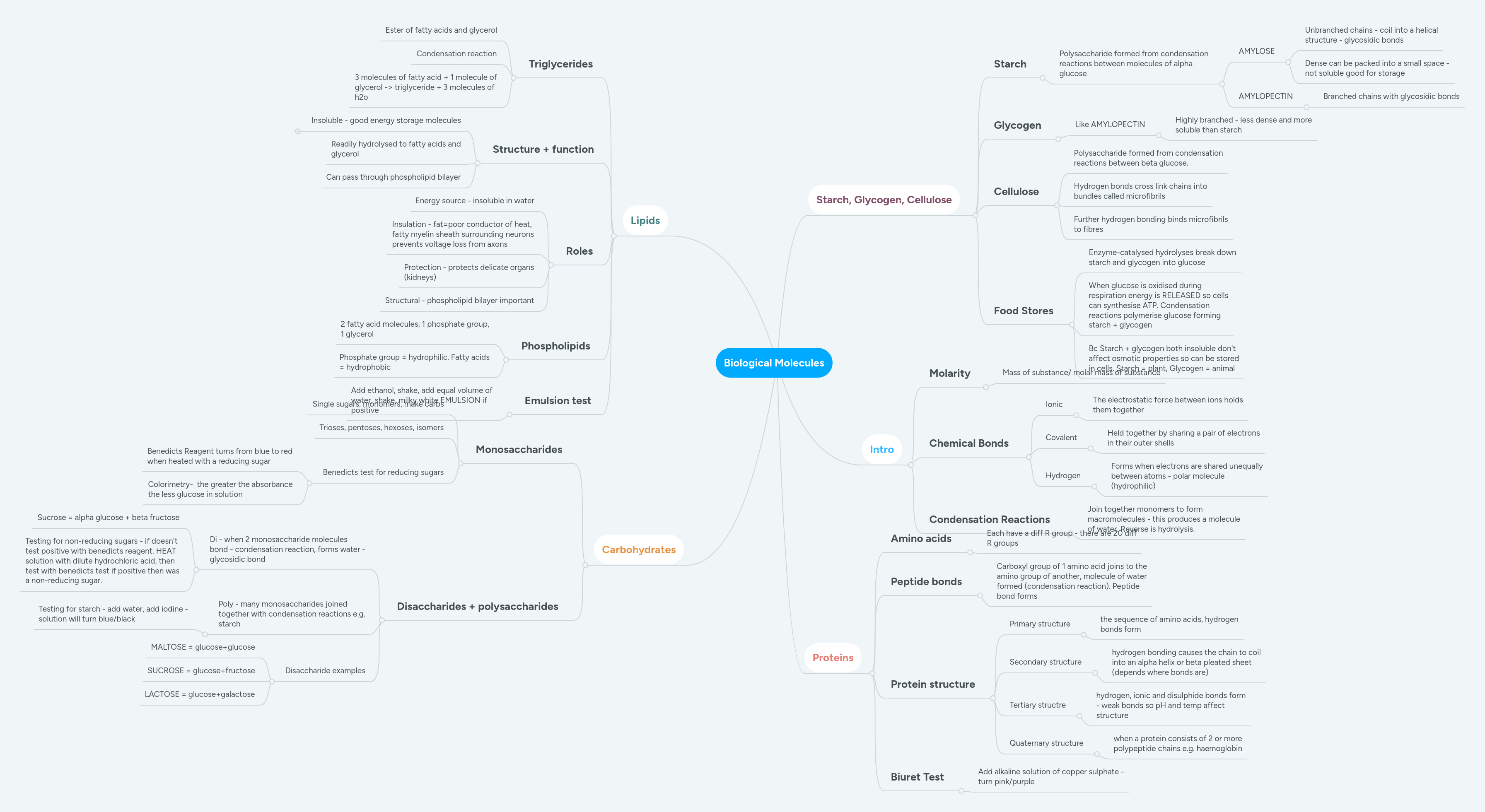 Biological Molecules Mind Map - Premium Sunset Design Gallery - Mobile