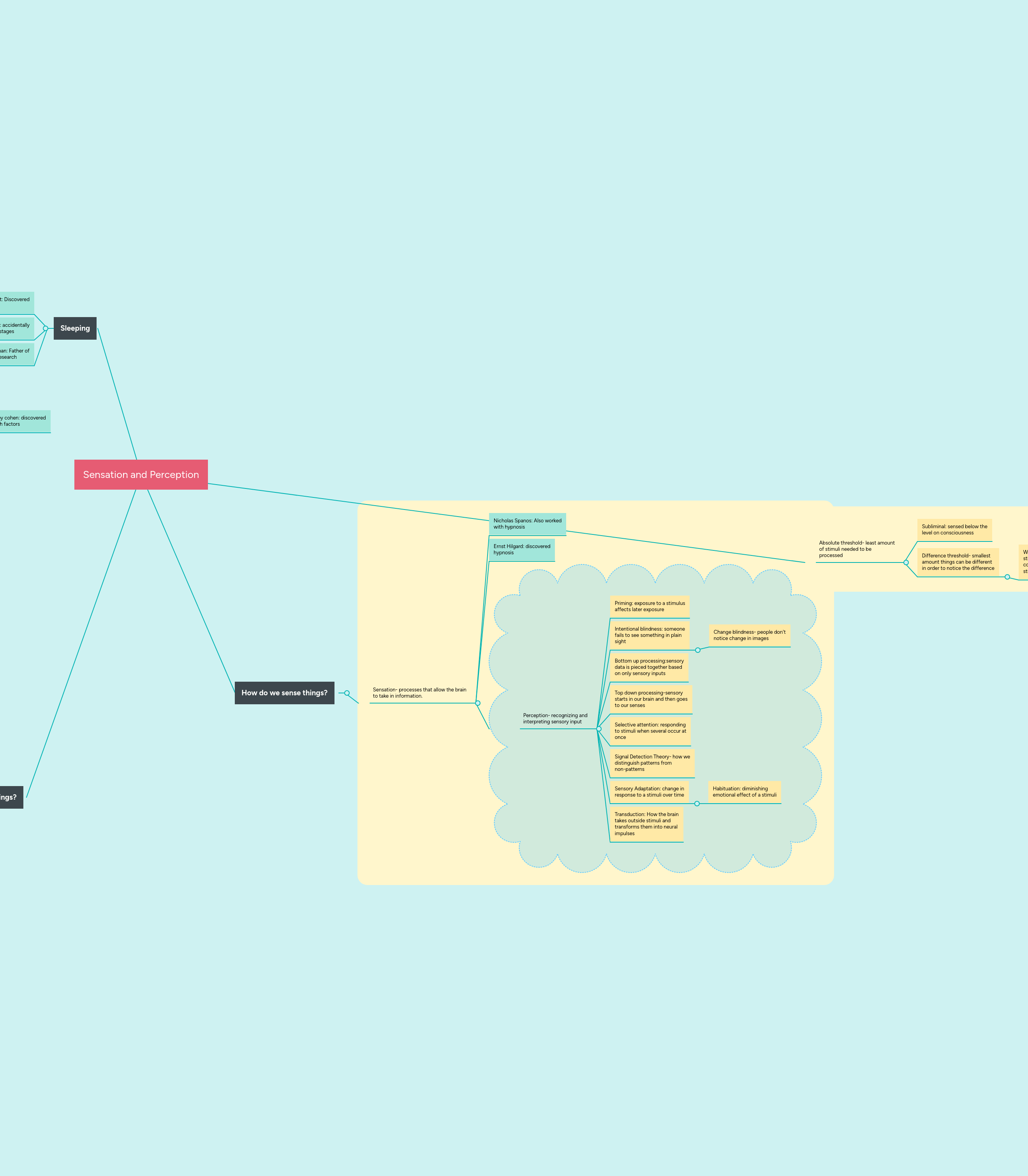 Sensation Perception Mind Map Pdf Science - Minimal Image Collection - Mobile Quality