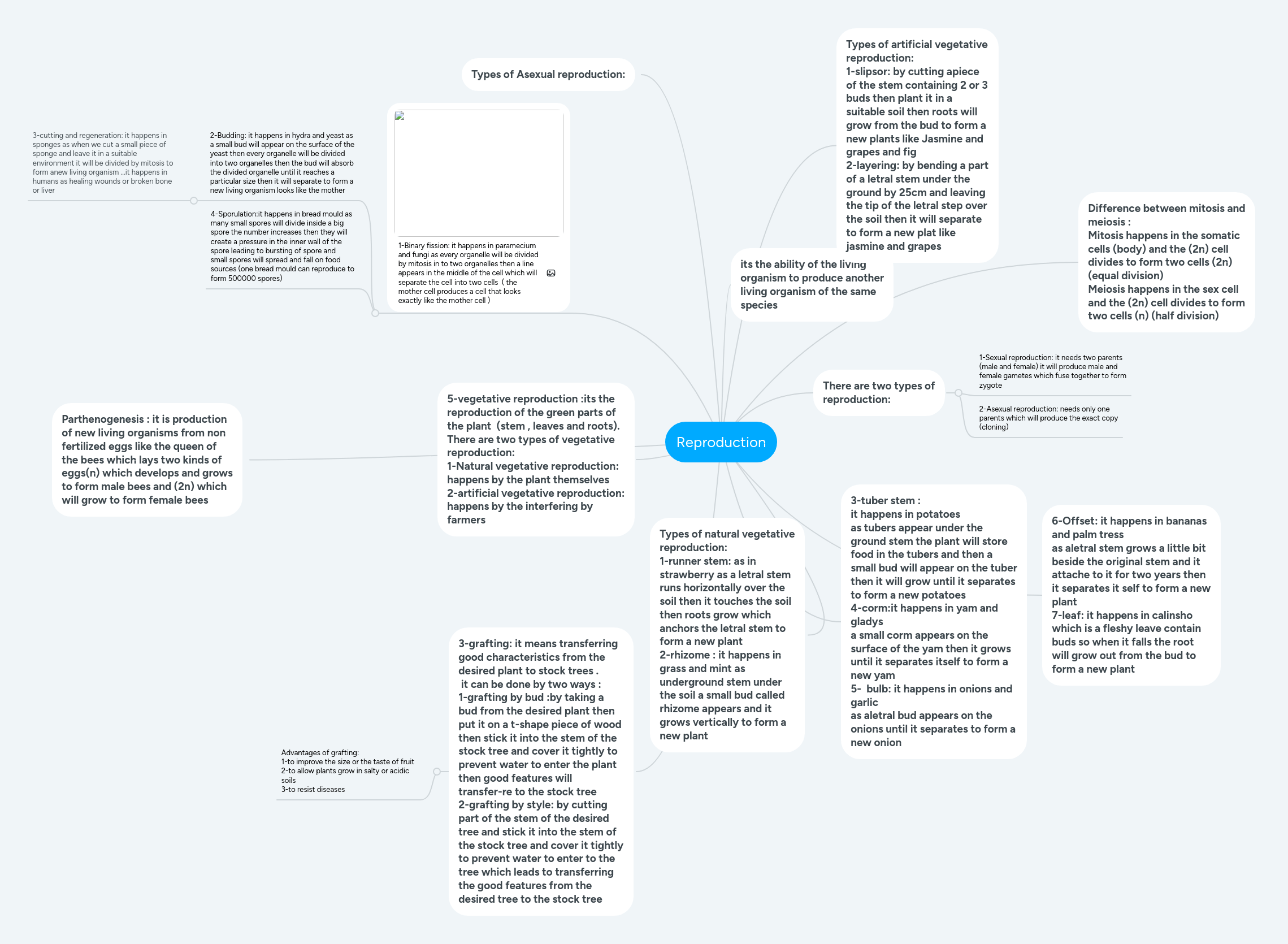 Solution Human Reproduction Mind Map Studypool - Best Nature Patterns in Mobile
