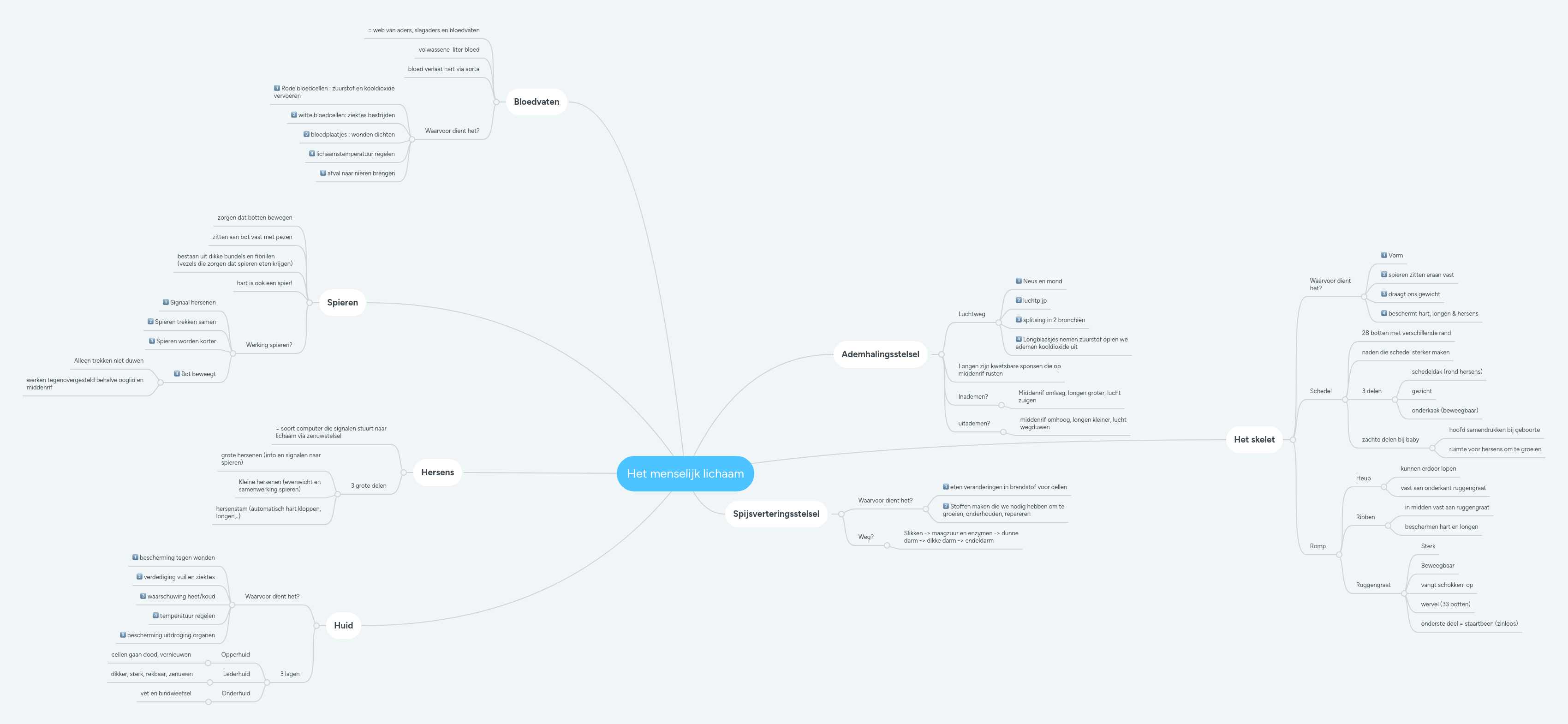 Mind Map Het Lichaam Nmt Pdf - Amazing Sunset Texture - 4K
