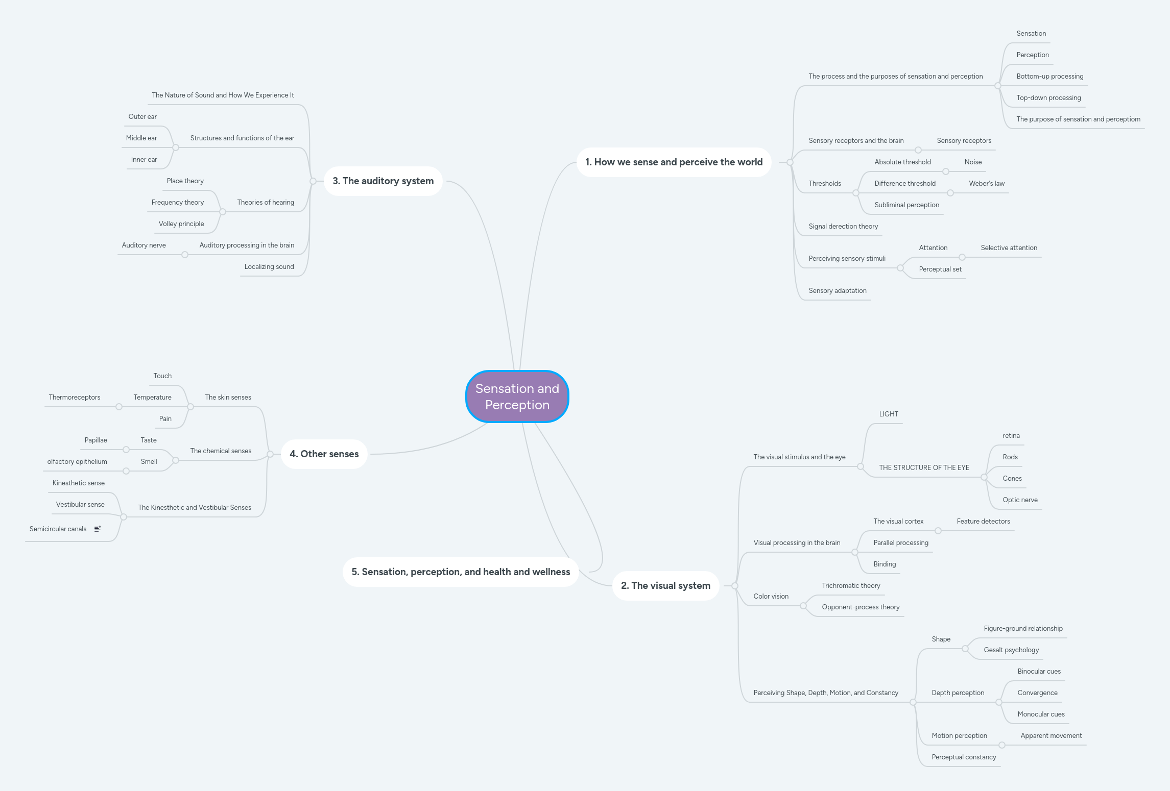 Sensation And Perception Mindmeister Mind Map