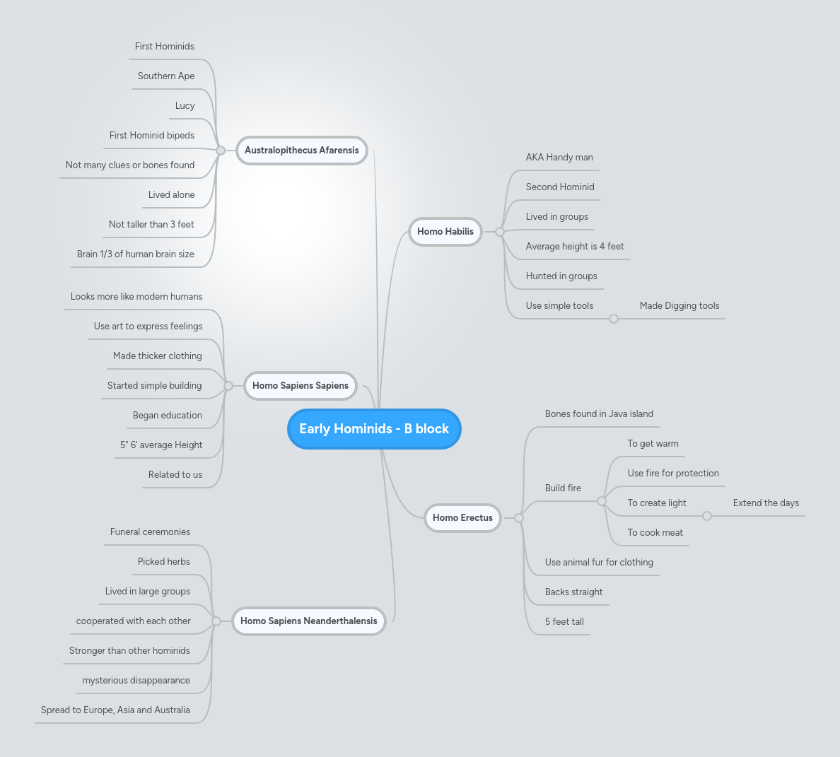 Early Humans E Block Mindmeister Mind Map - Classic Landscape Pattern - Full HD