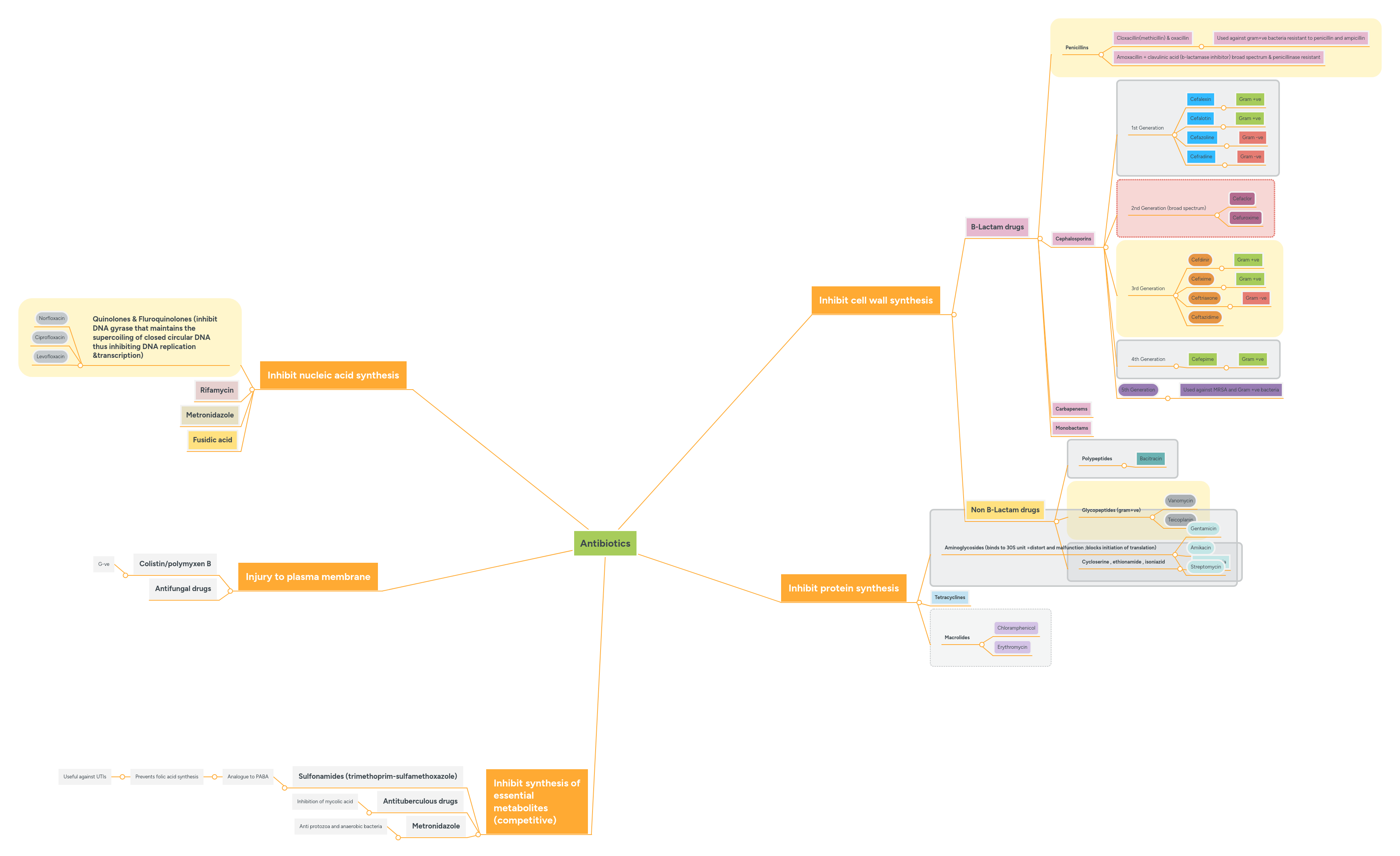 Solution Antibiotics Mind Map Studypool - City Designs - Amazing HD Collection