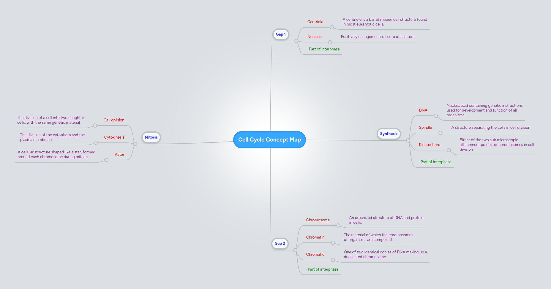 Ciclo C Lular Mind Map - Artistic Ultra HD City Pictures | Free Download