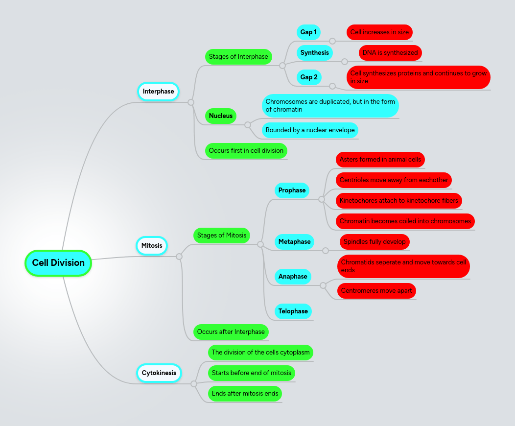 Solution Cell Cycle And Cell Division Key Points Mind Map Study - Ocean Arts - Beautiful HD Collection
