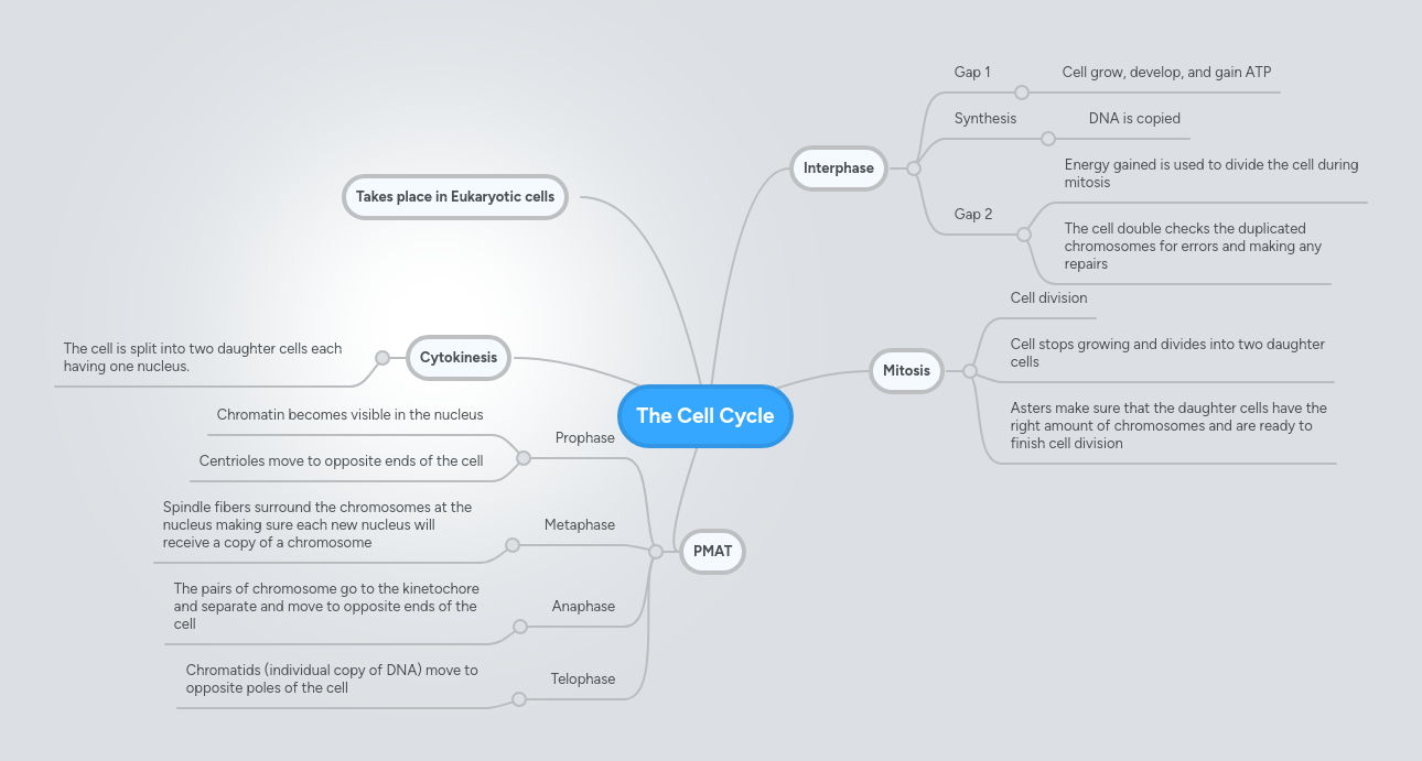 Cell Cycle Mindmeister Mind Map - Retina Landscape Designs for Desktop