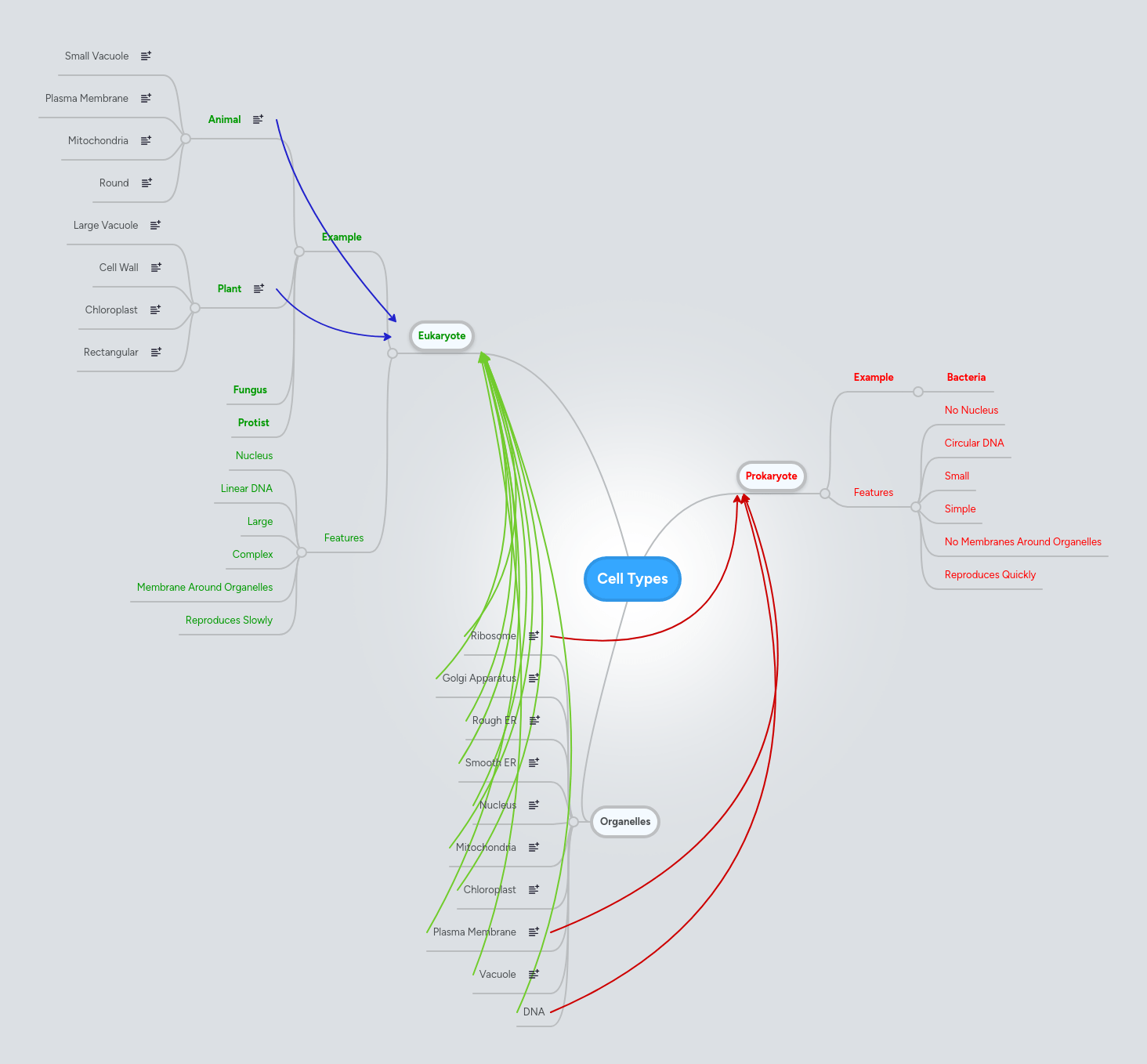 Cell Mindmeister Mind Map - Nature Illustration Collection - Retina Quality