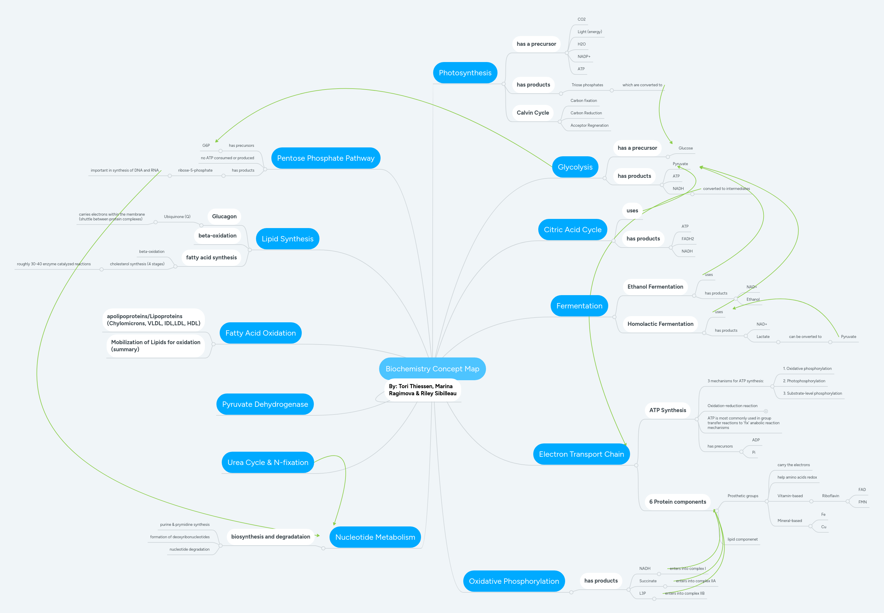 Biochemistry Mindmeister Mind Map - Download Modern Minimal Background | HD