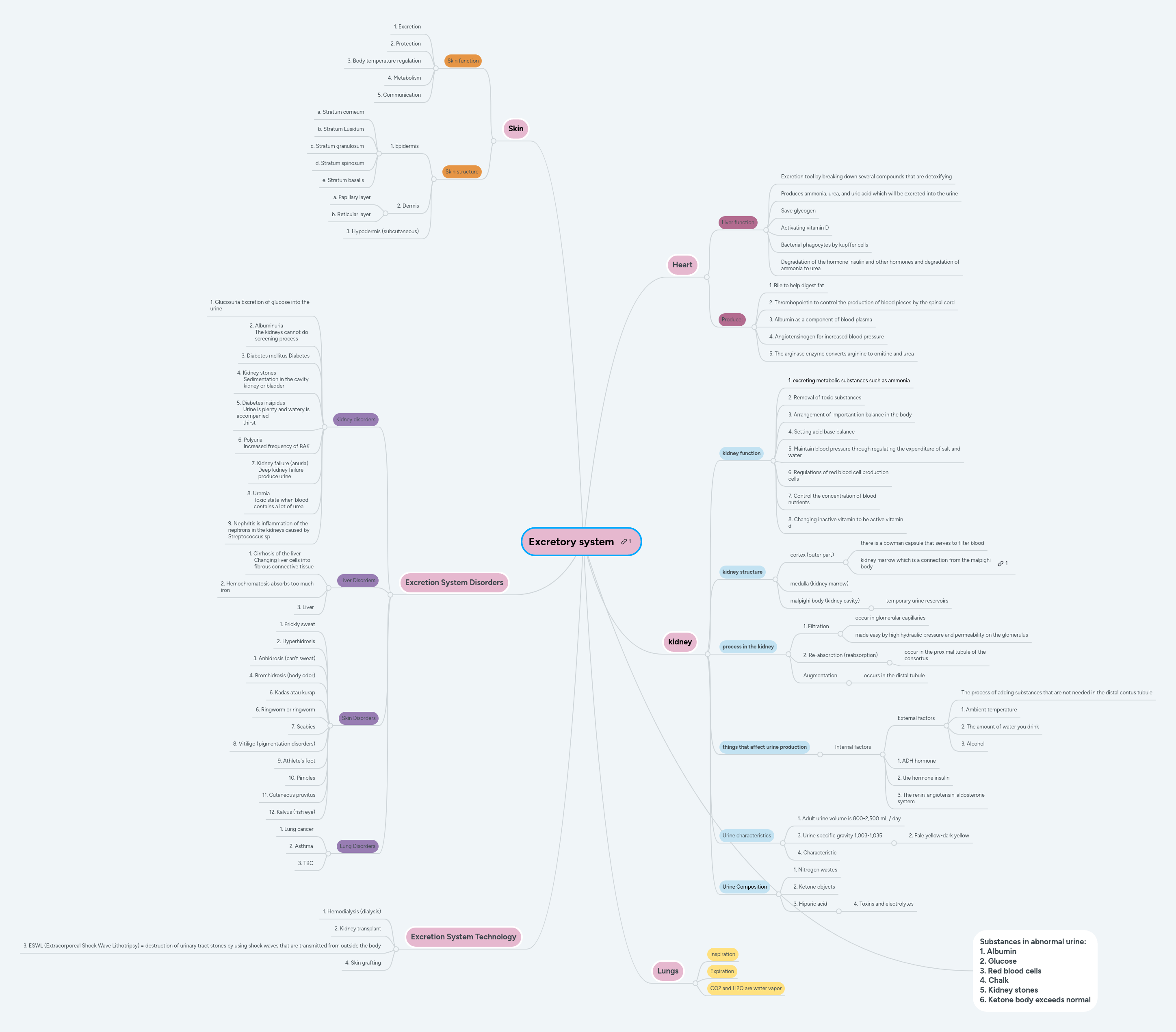 Mind Map Excretory System Pdf - Abstract Art Collection - HD Quality