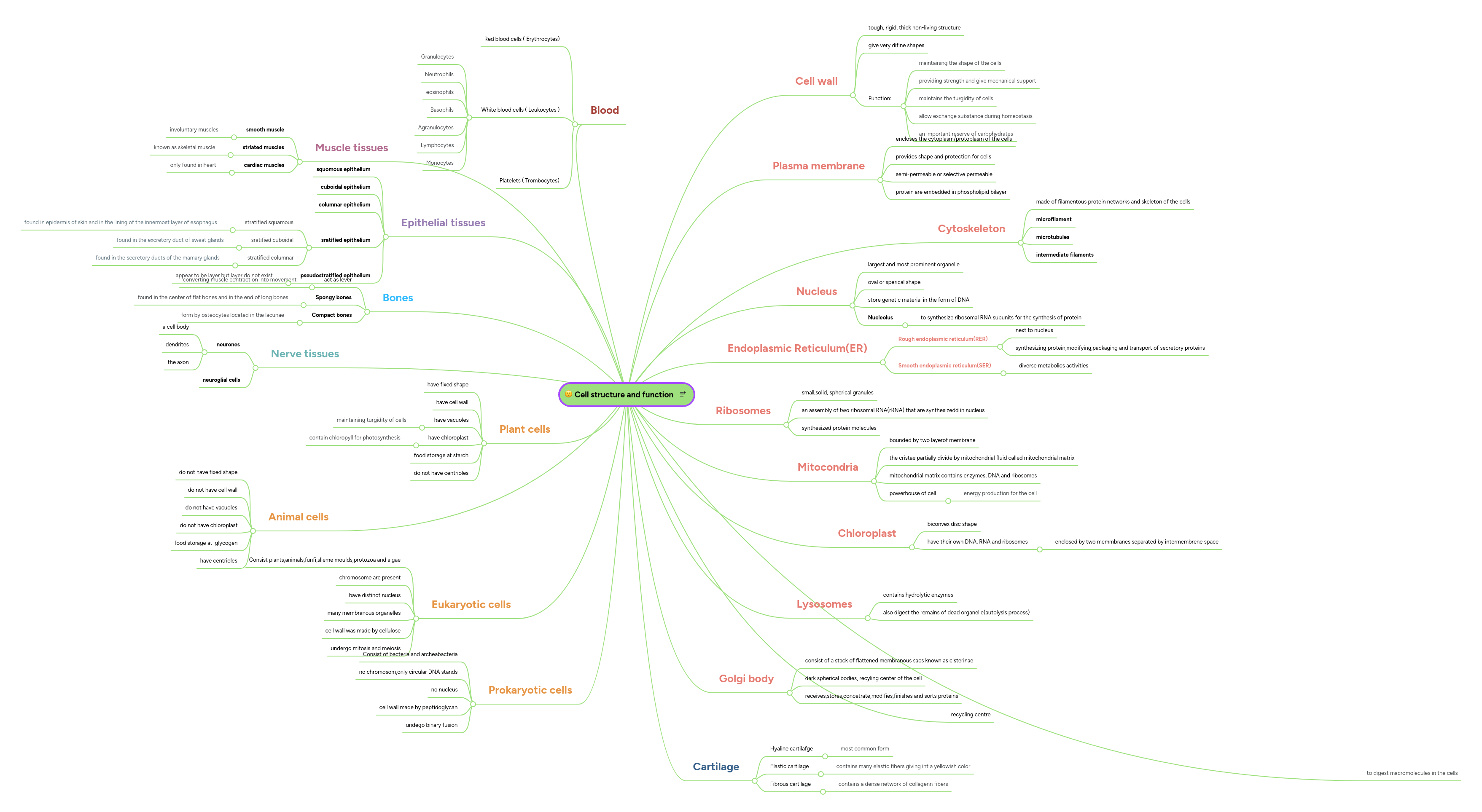 Cell Structure And The Microscope Mind Map - Ultra HD Colorful Patterns for Desktop