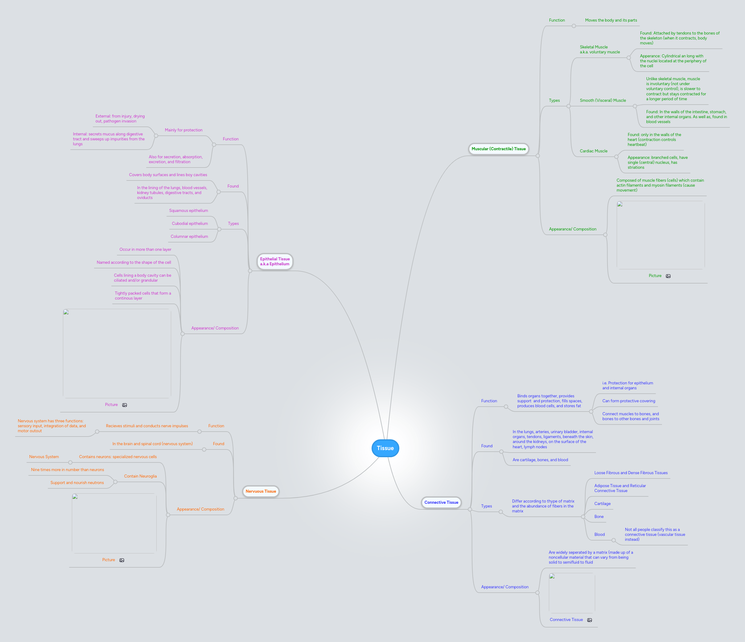 Tissue Engineering Mind Map - Mobile Landscape Patterns for Desktop