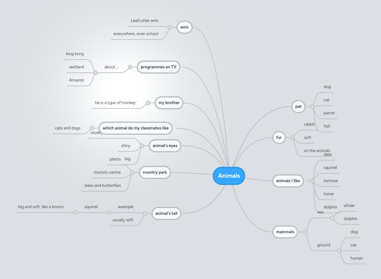 Animals Mindmeister Mind Map - Geometric Art Collection - Retina Quality