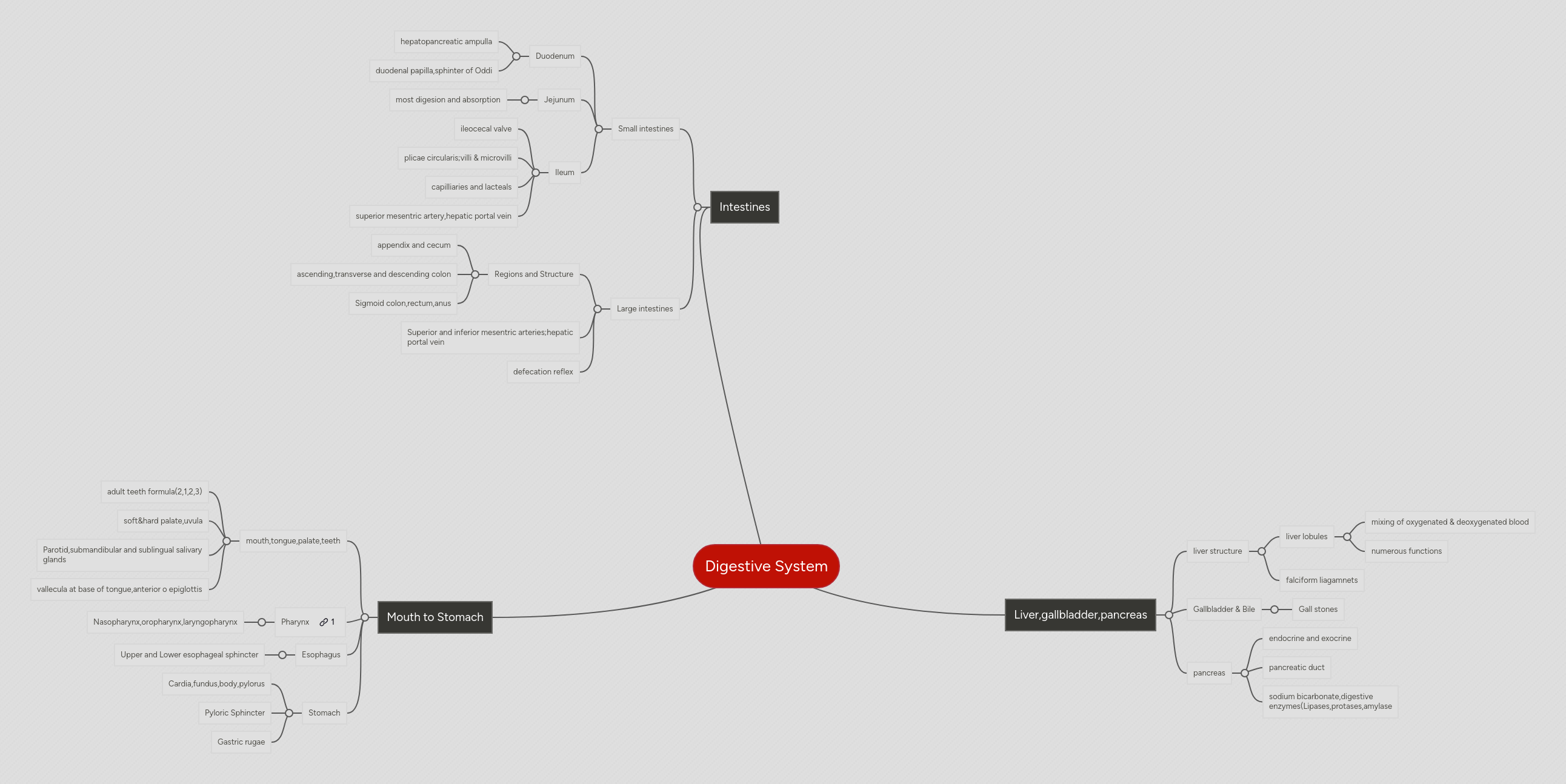 Digestive System Mindmeister Mind Map - Premium Mountain Image Gallery - 4K