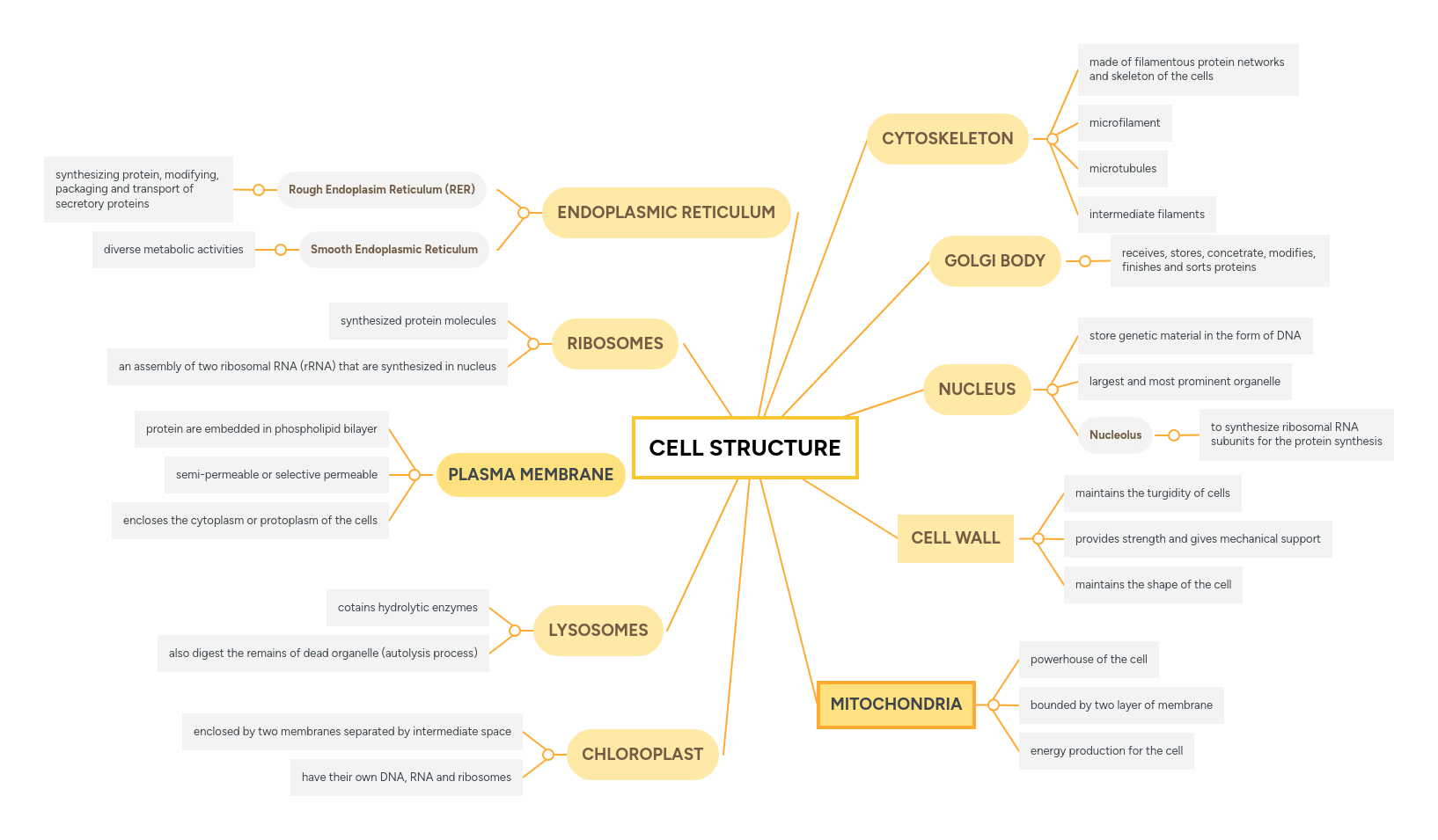 Cell Structure Mindmeister Mind Map - Premium City Wallpaper Gallery - Full HD
