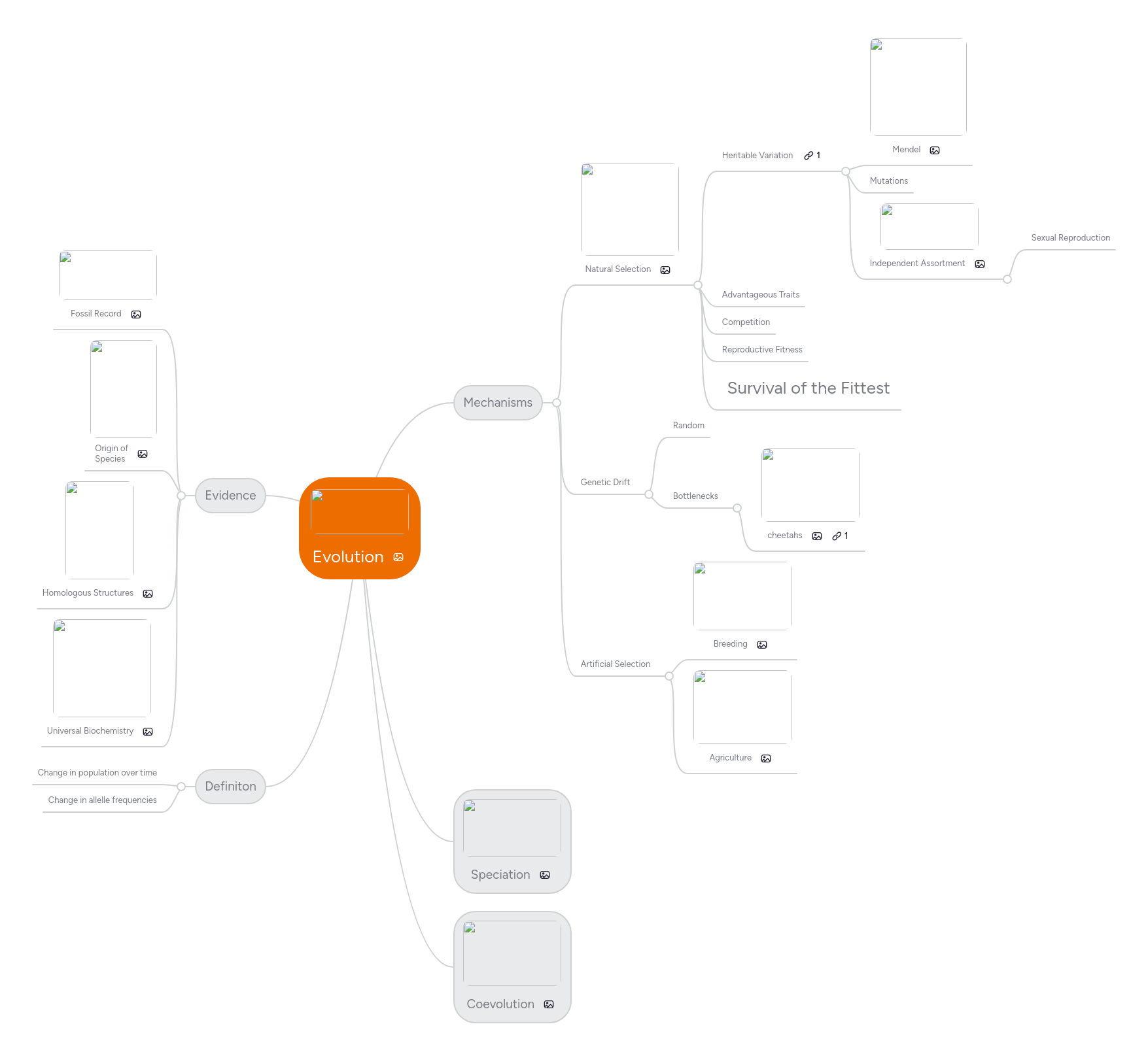 Evolution Mindmeister Mind Map - Download Incredible Sunset Image | Full HD