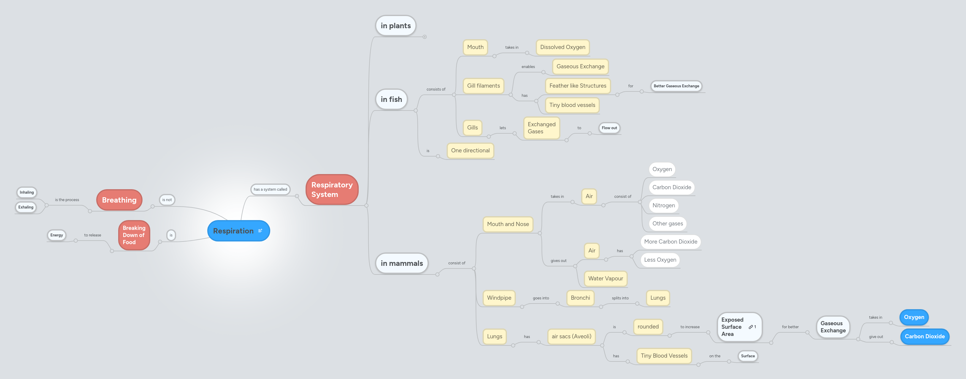 Mind Map Respiration Pdf - Professional Geometric Texture - 8K