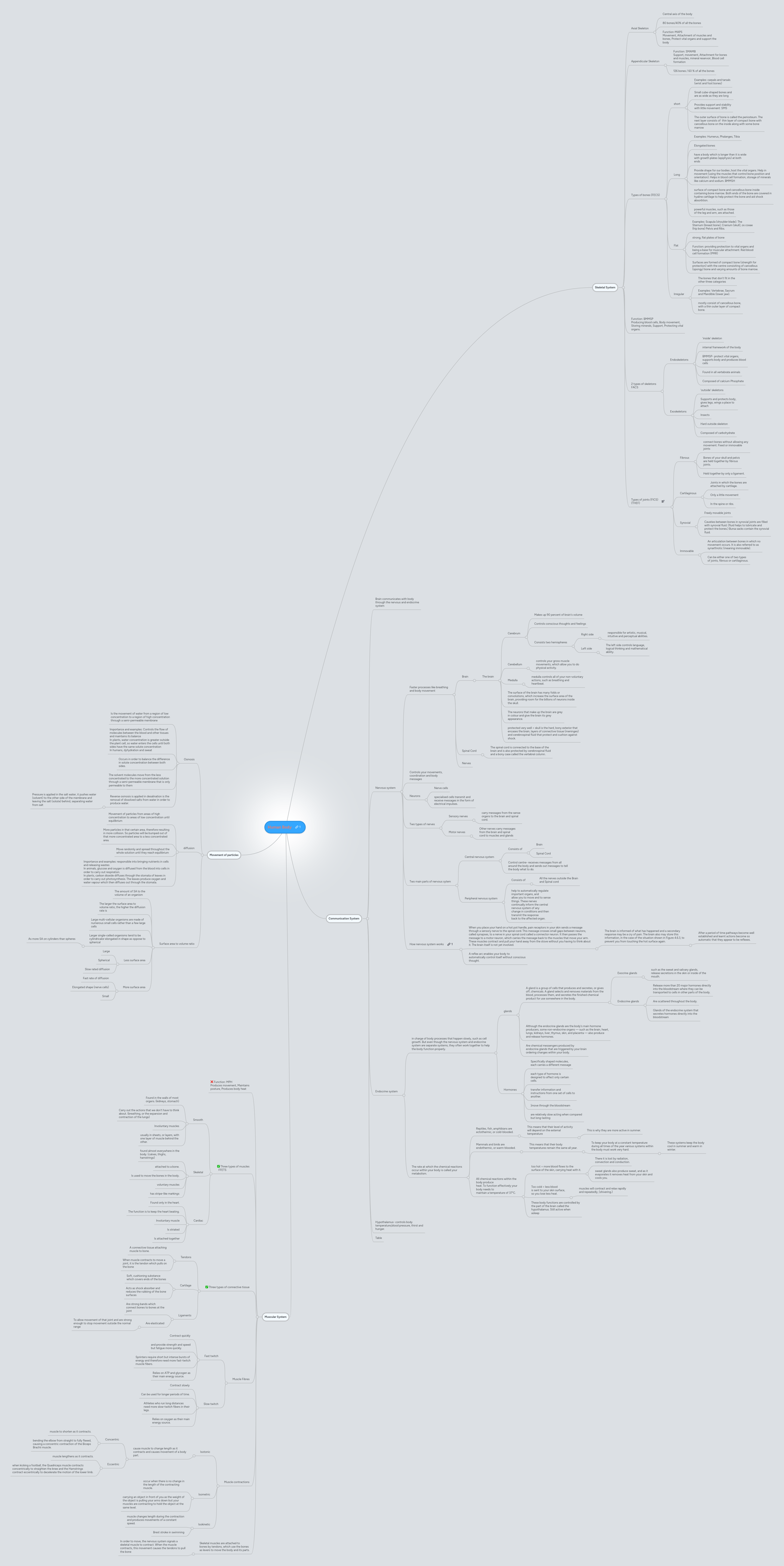 Human Body Mind Map - Space Illustration Collection - HD Quality