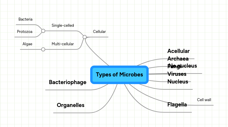 Mind Map Unit 4 Ru Microbes - Ocean Pattern Collection - Desktop Quality