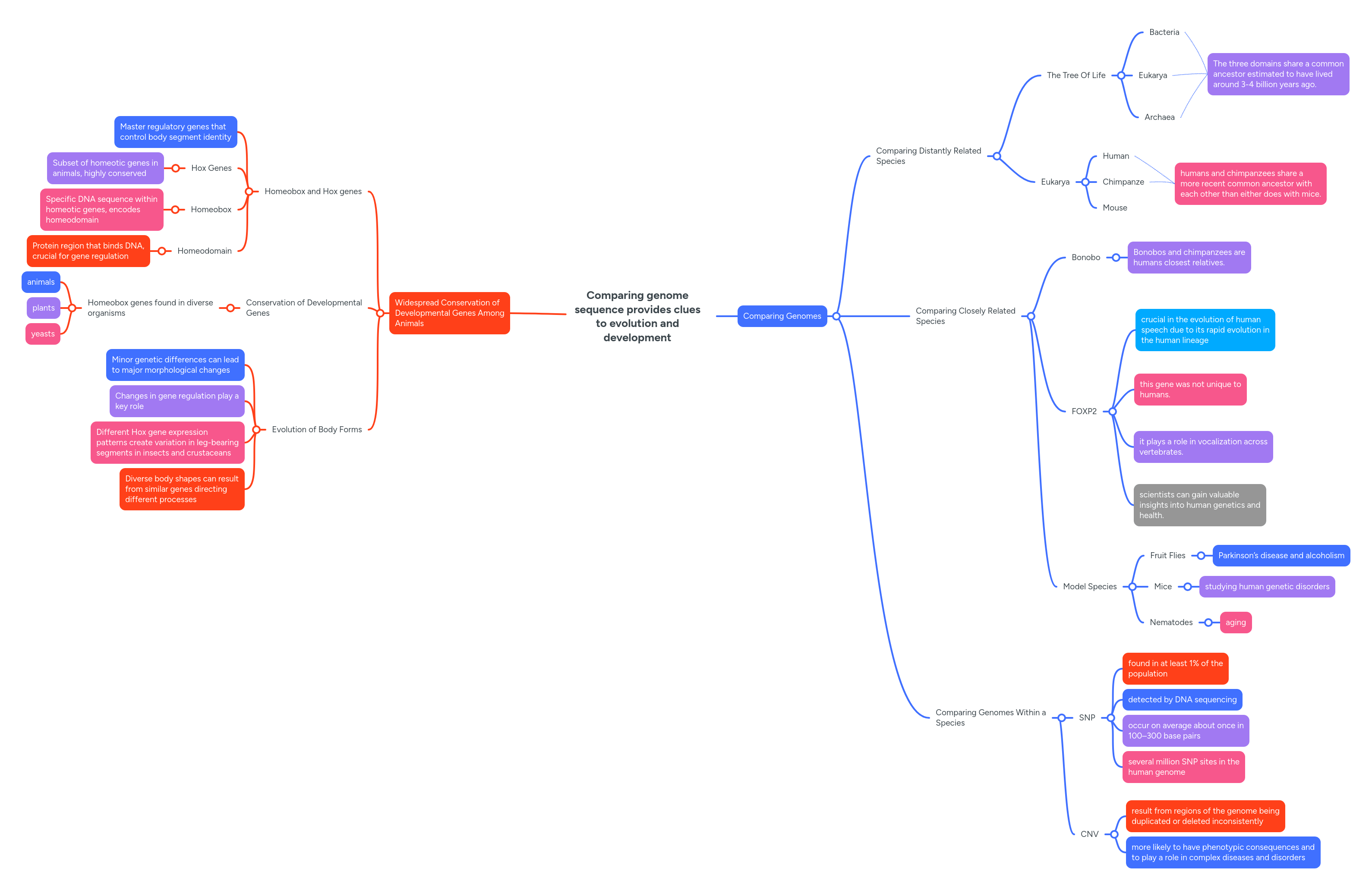 Comparing Genome Sequence Provides Clues To Evolu Mindmeister Mind Map - Download Amazing Nature Illustration | Desktop
