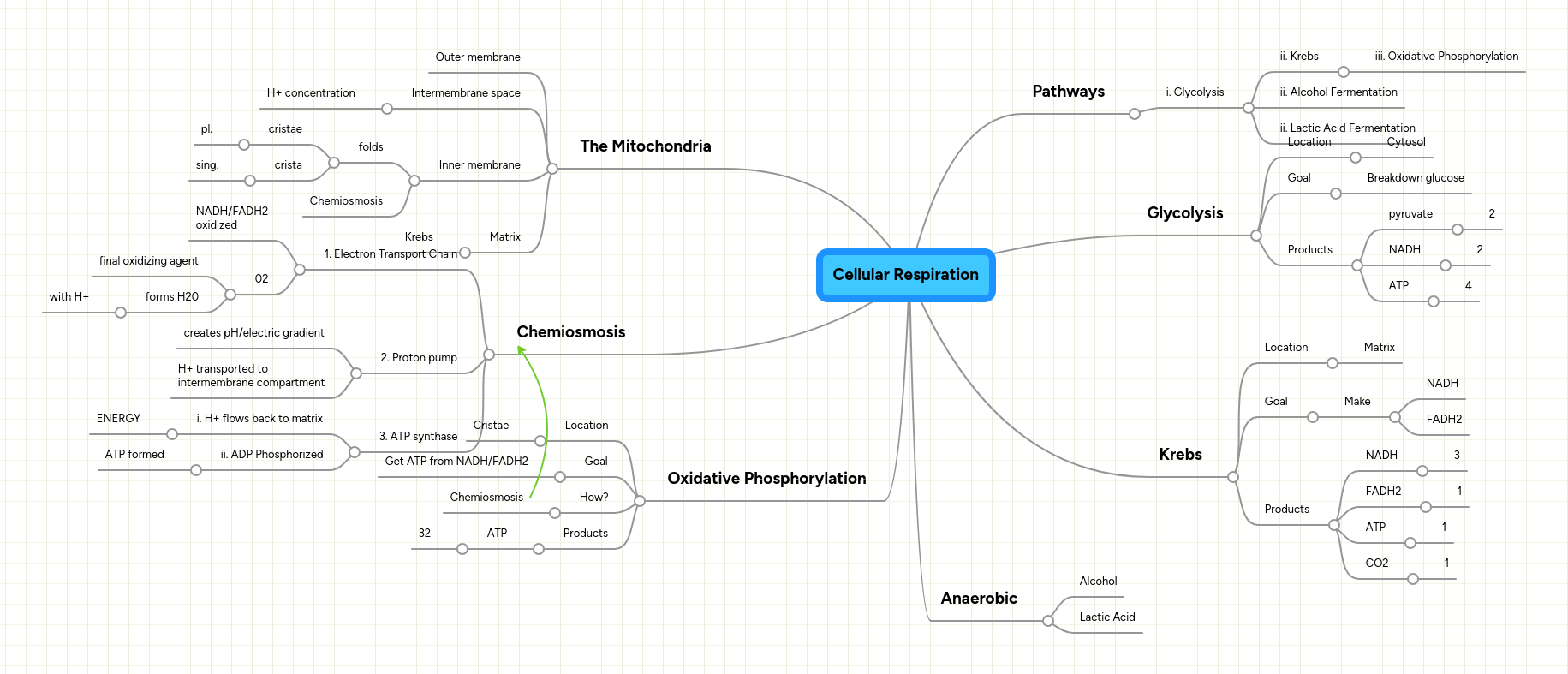 Mind Map Respiration Pdf - Best Abstract Patterns in HD