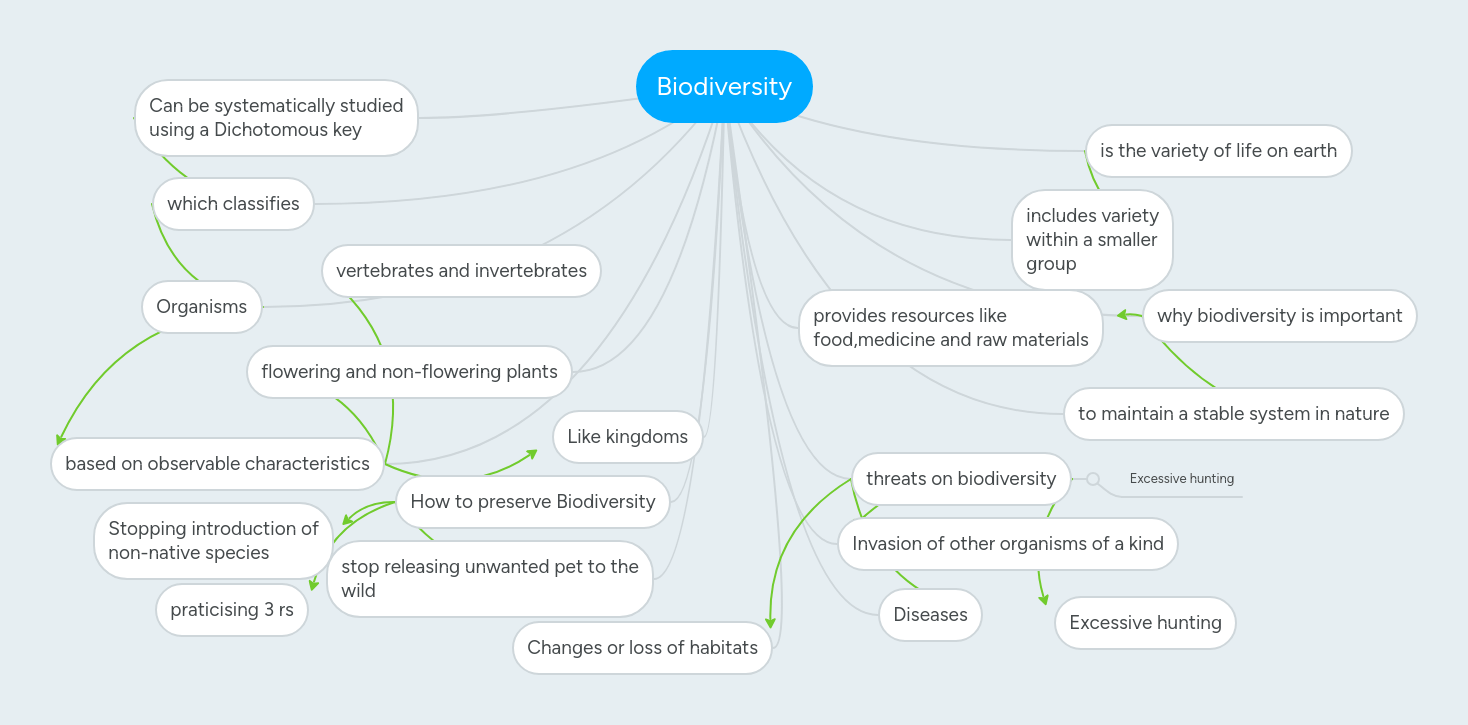 Biodiversity Mindmeister Mind Map - Perfect Landscape Photo - Full HD