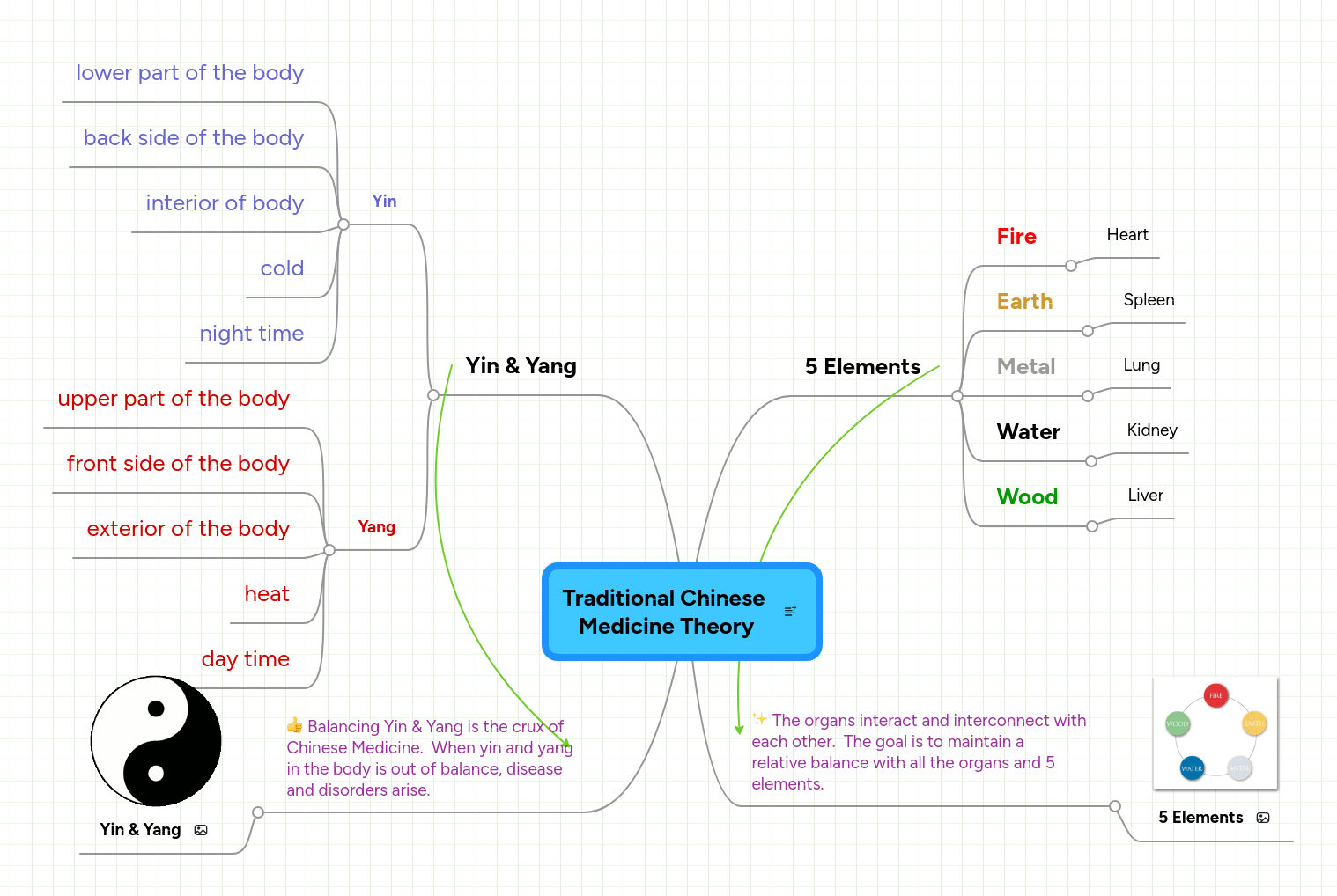 Traditional Chinese Medicine Theory And Principles - Vintage Photo Collection - 8K Quality