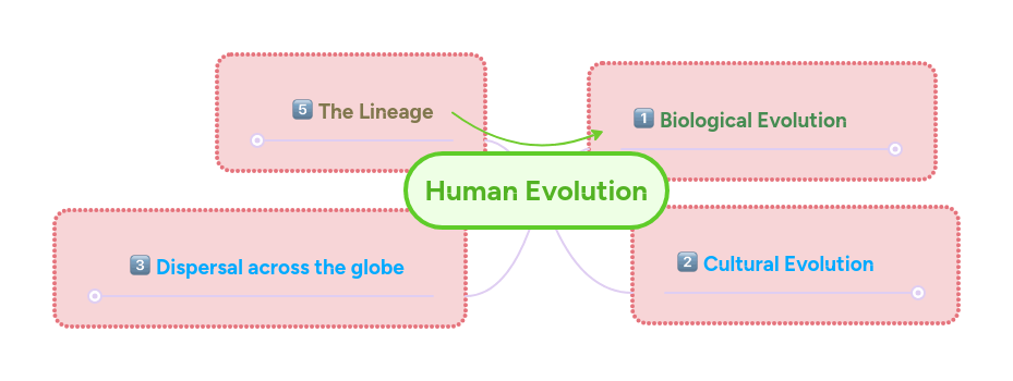 Mind Maps Evolution 2 Pdf Evolution Homo - Ocean Art Collection - High Resolution Quality