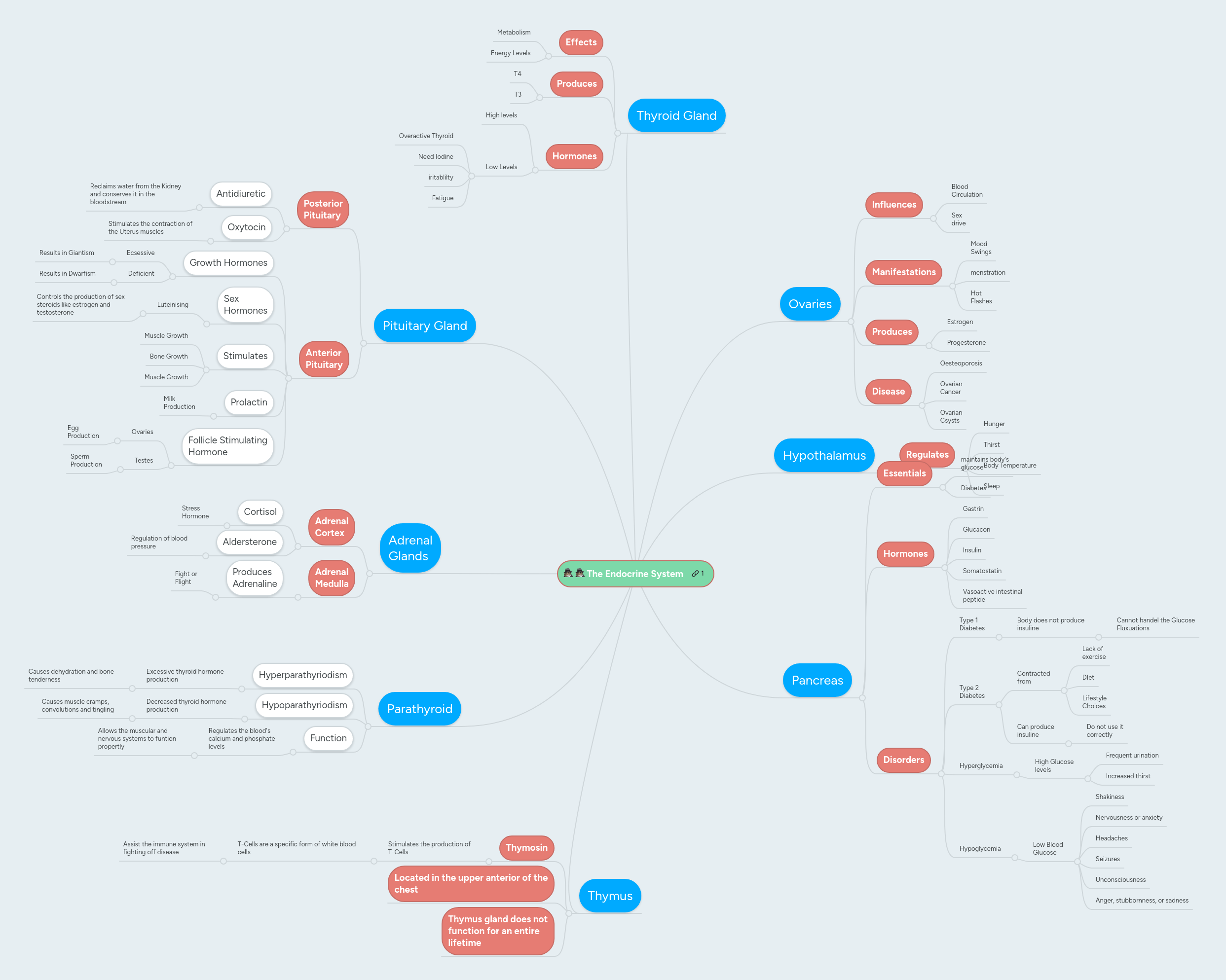 Endocrine System Mindmeister Mind Map - Premium Sunset Illustration Gallery - Full HD