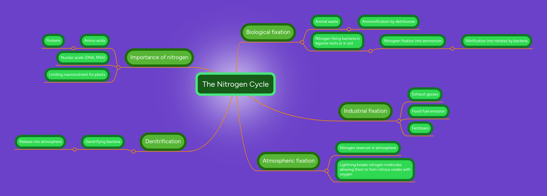 The Nitrogen Cycle Mindmeister Mind Map - Modern City Background - Mobile