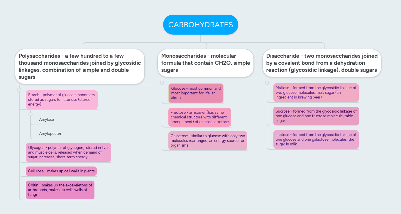 Mind Map Assignment Carbohydrates Mind Map - Light Art Collection - 8K Quality