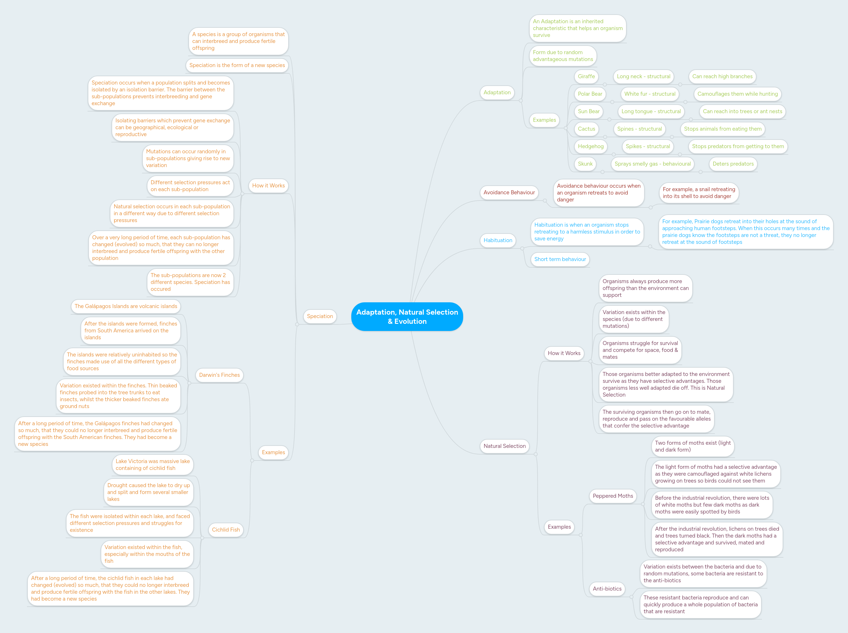Adaptation Natural Selection Evolution Mindmeister Mind Map - High Quality 4K Minimal Wallpapers | Free Download