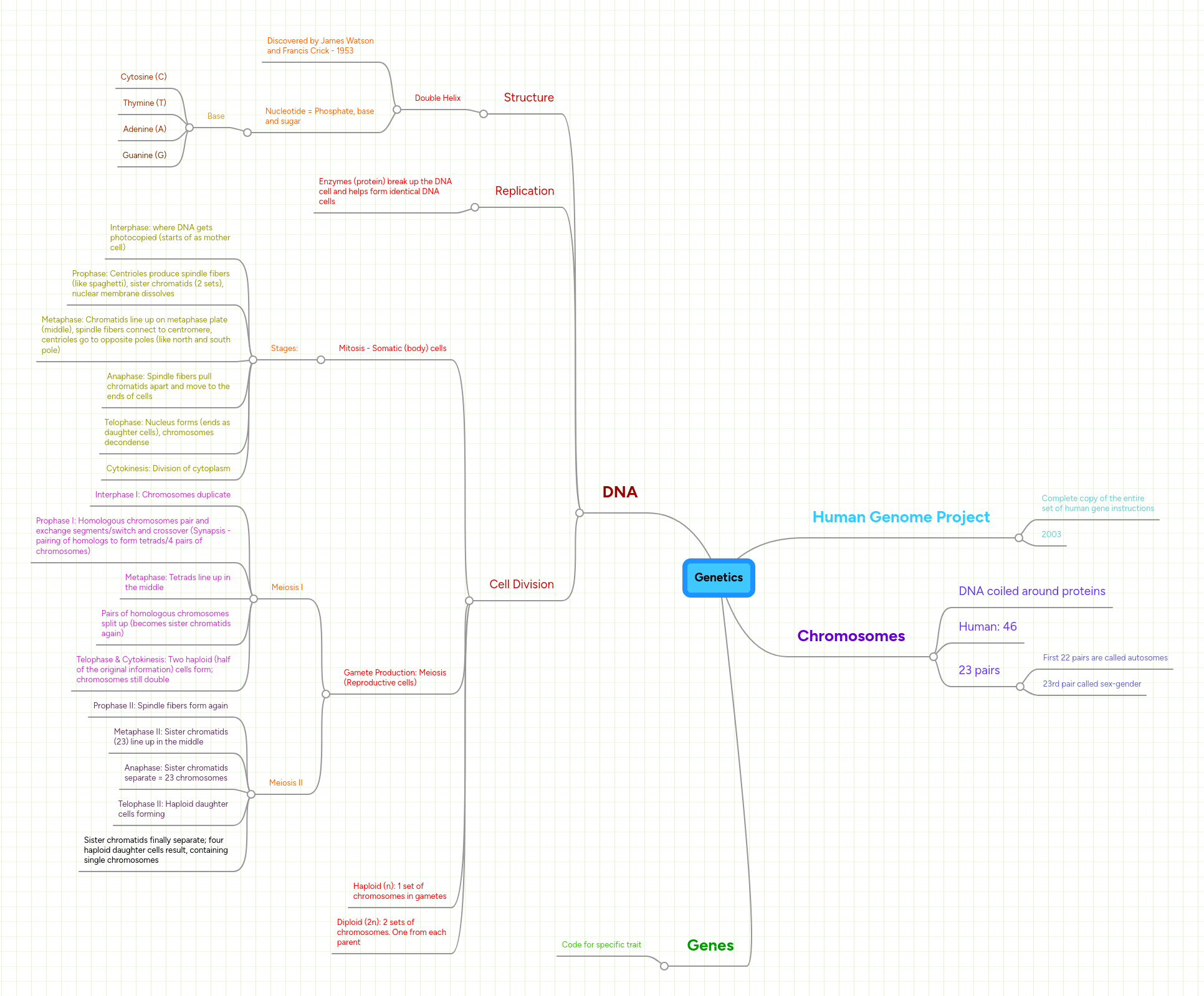 Genetics Mindmeister Mind Map - Download Modern Dark Illustration | Desktop