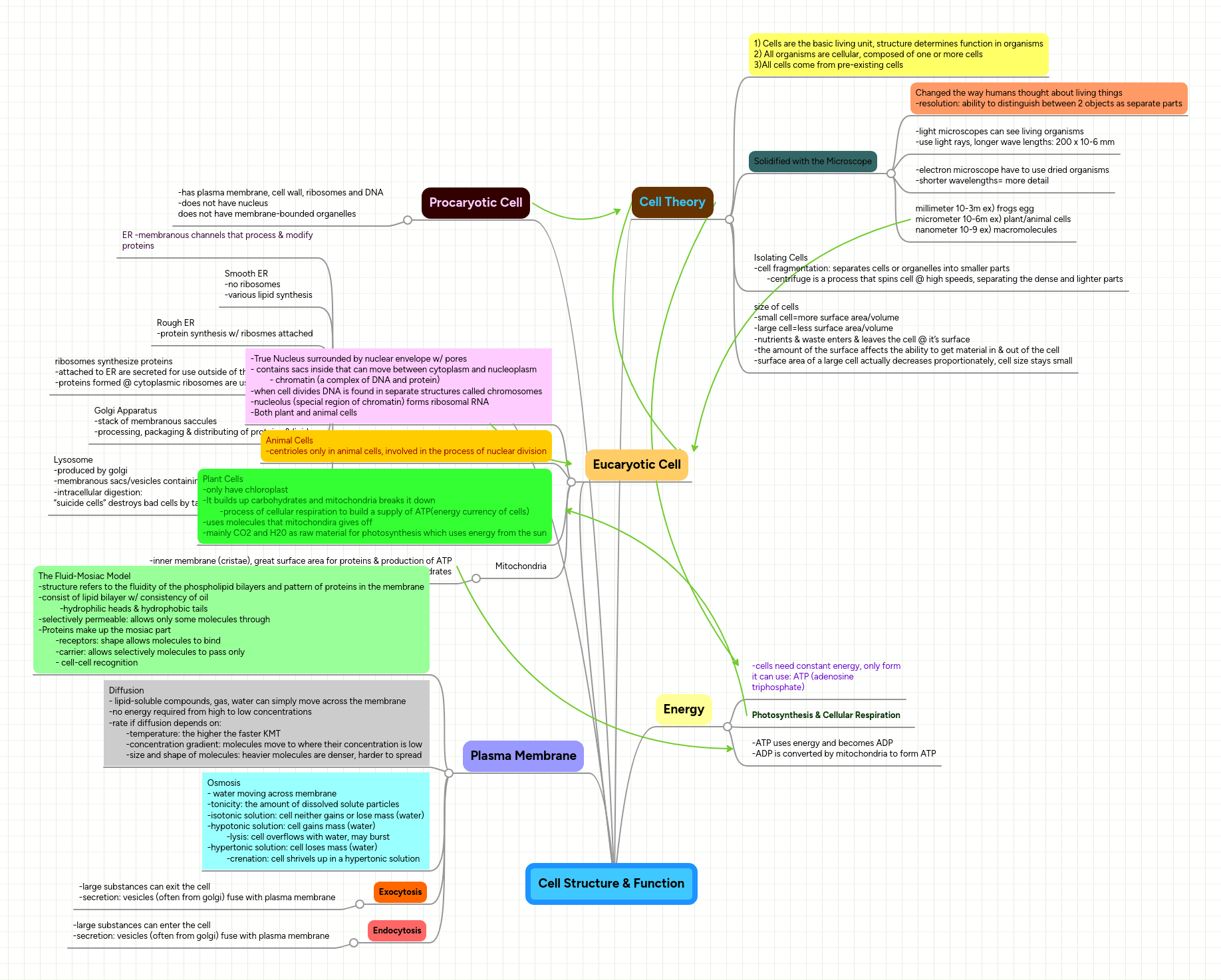 Solution 2 Cell Structure And Function Mind Map Studypool - Download Premium Light Texture | 4K