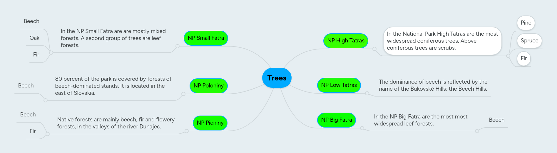 Trees Mindmeister Mind Map - Premium Nature Photo Gallery - Mobile