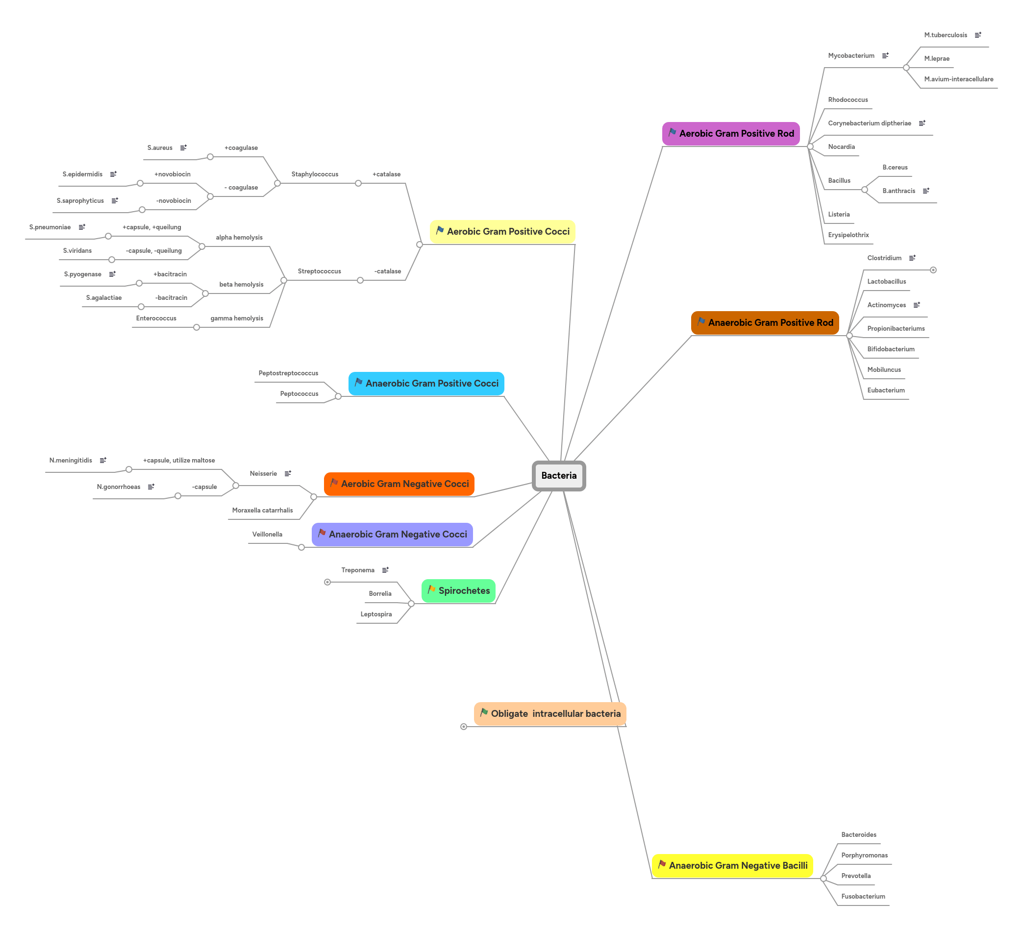 Pathogenic Bacteria Mind Map - Gorgeous Mobile Colorful Backgrounds | Free Download