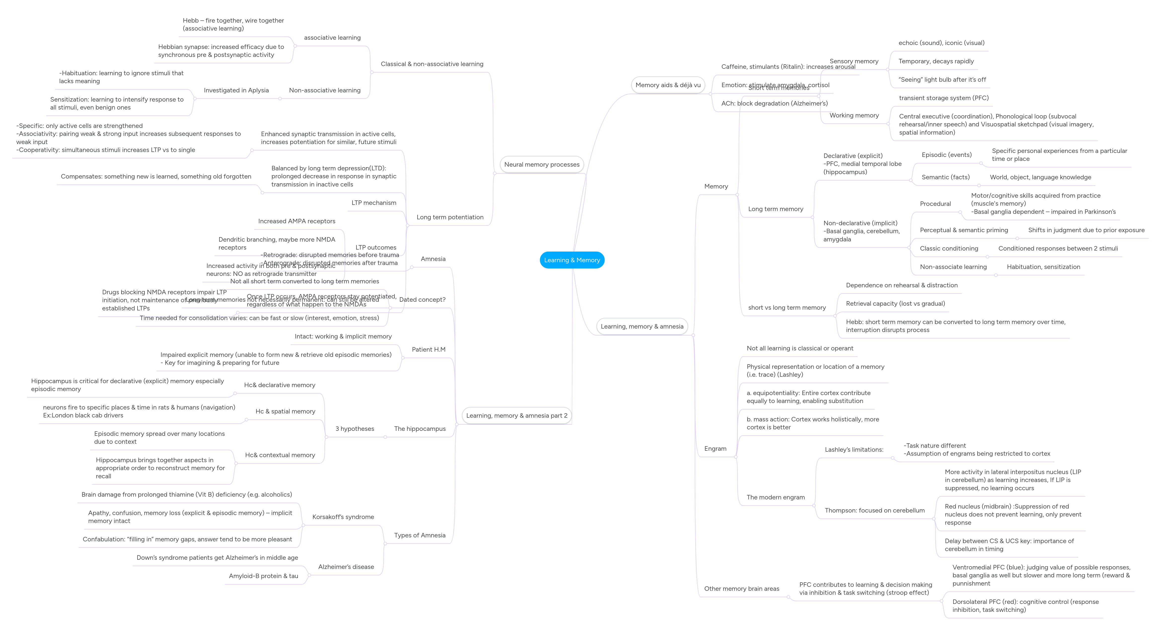 Memory Learning Improving Concentration Mindmeister Mind Map - Gorgeous City Art - Ultra HD