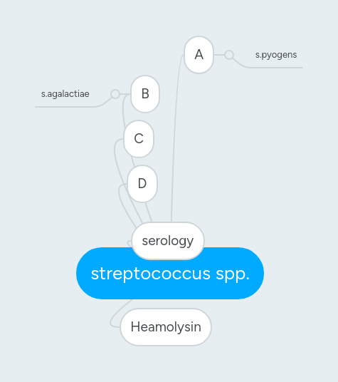 Solution Streptococcus Spp Studypool - High Resolution Space Photos for Desktop