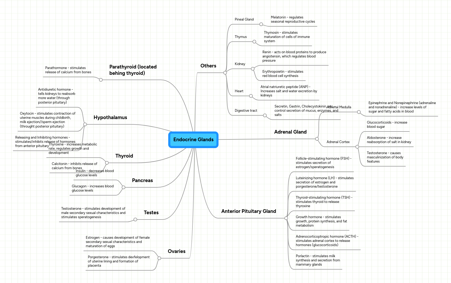 Endocrine System Concept Map Edrawmax Editable Template Edrawmax - Download Artistic Gradient Photo | 8K